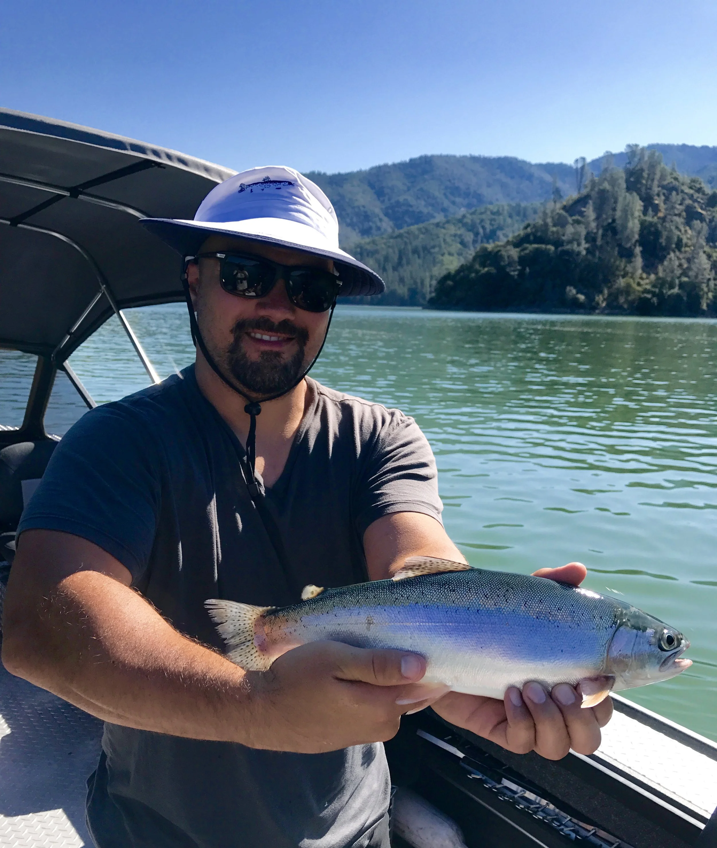 Shasta Lake rainbow trout!