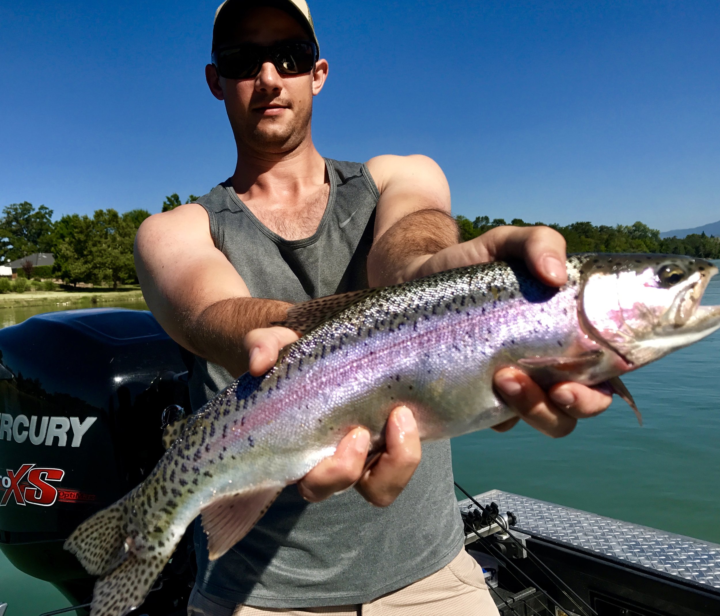 Beautiful wild Sac River rainbows!
