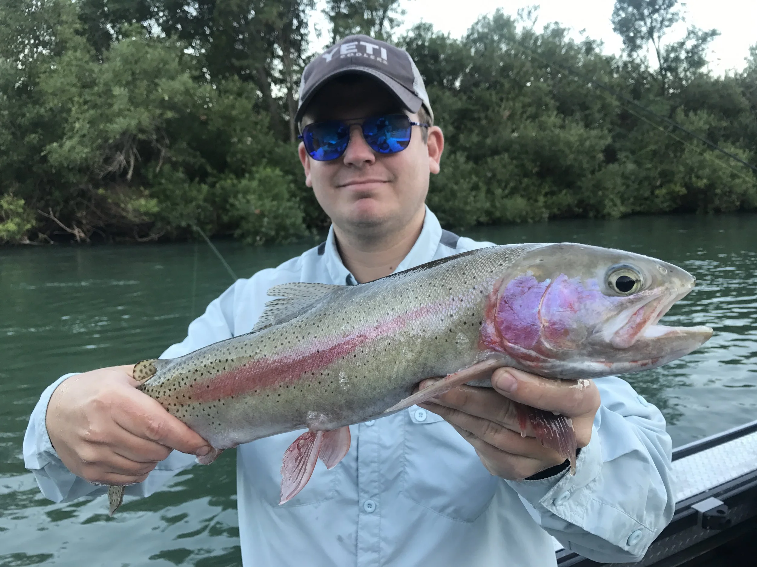 Sacramento River trout fishing report 7/12