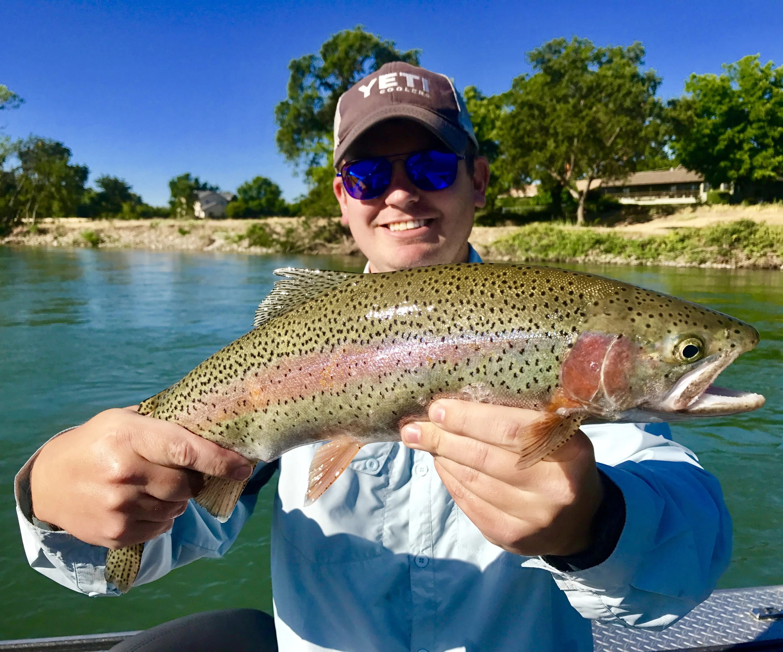 Sacramento River rainbow trout trips!