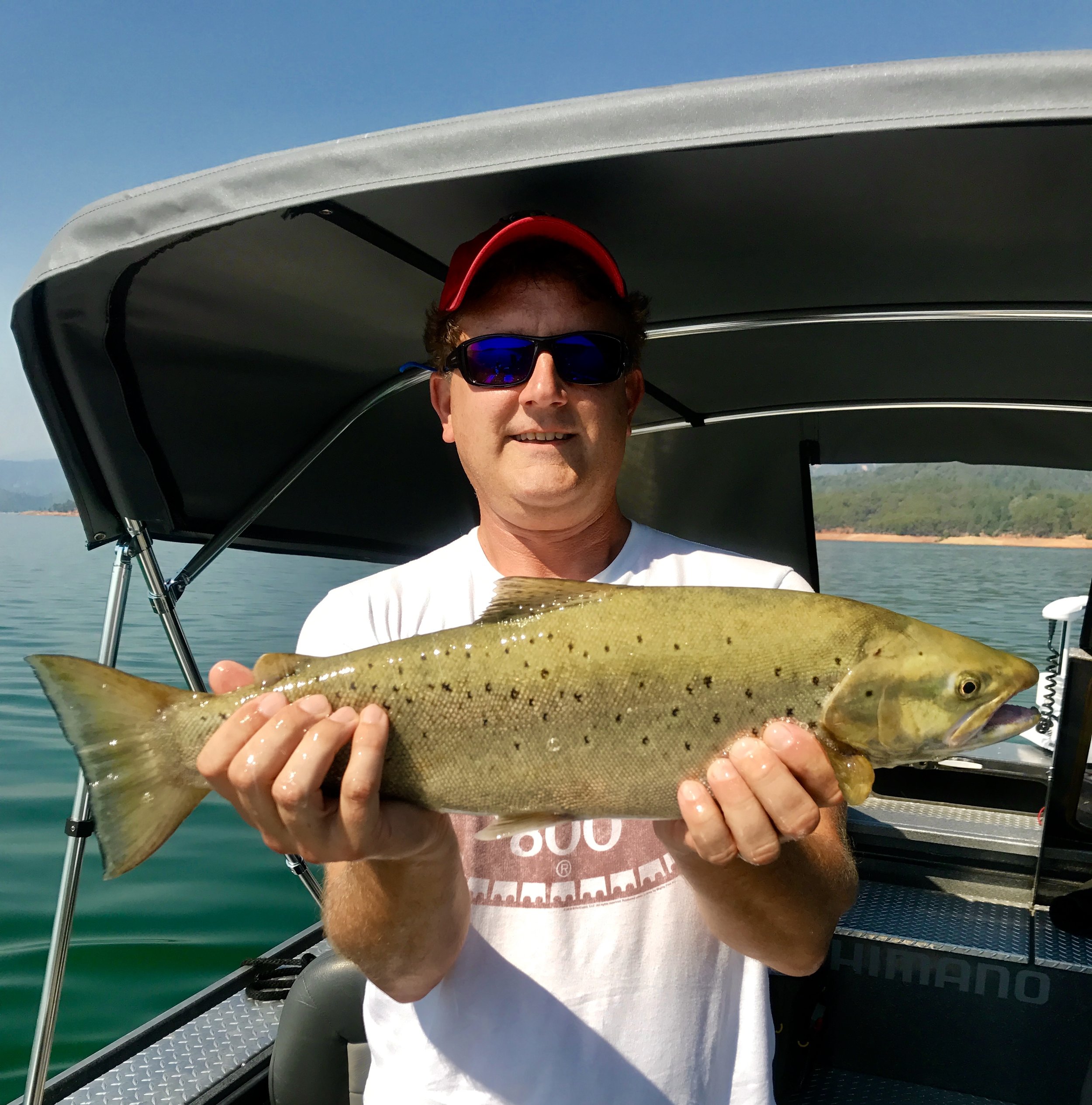 Our clients are catching big brown trout at Shasta Lake!