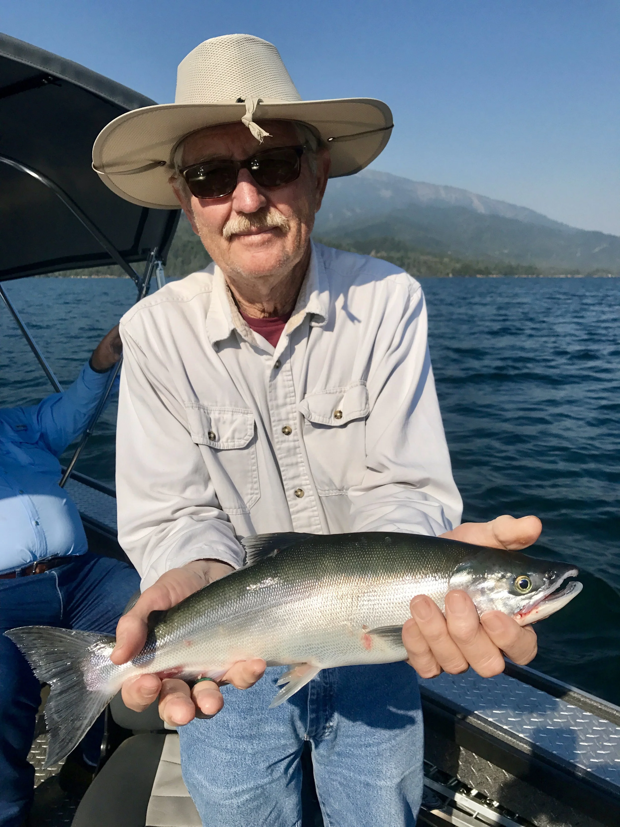 Whiskeytown Lake Kokanee salmon are beautiful this year!