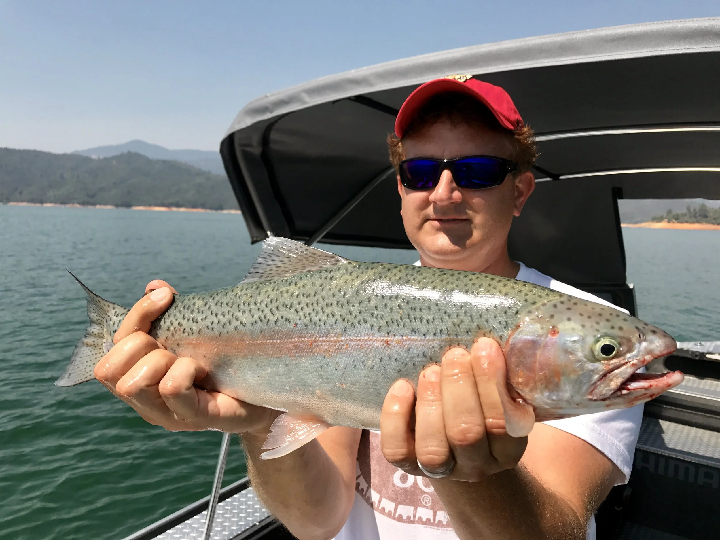 Shasta and Whiskeytown Lakes are fishing great!