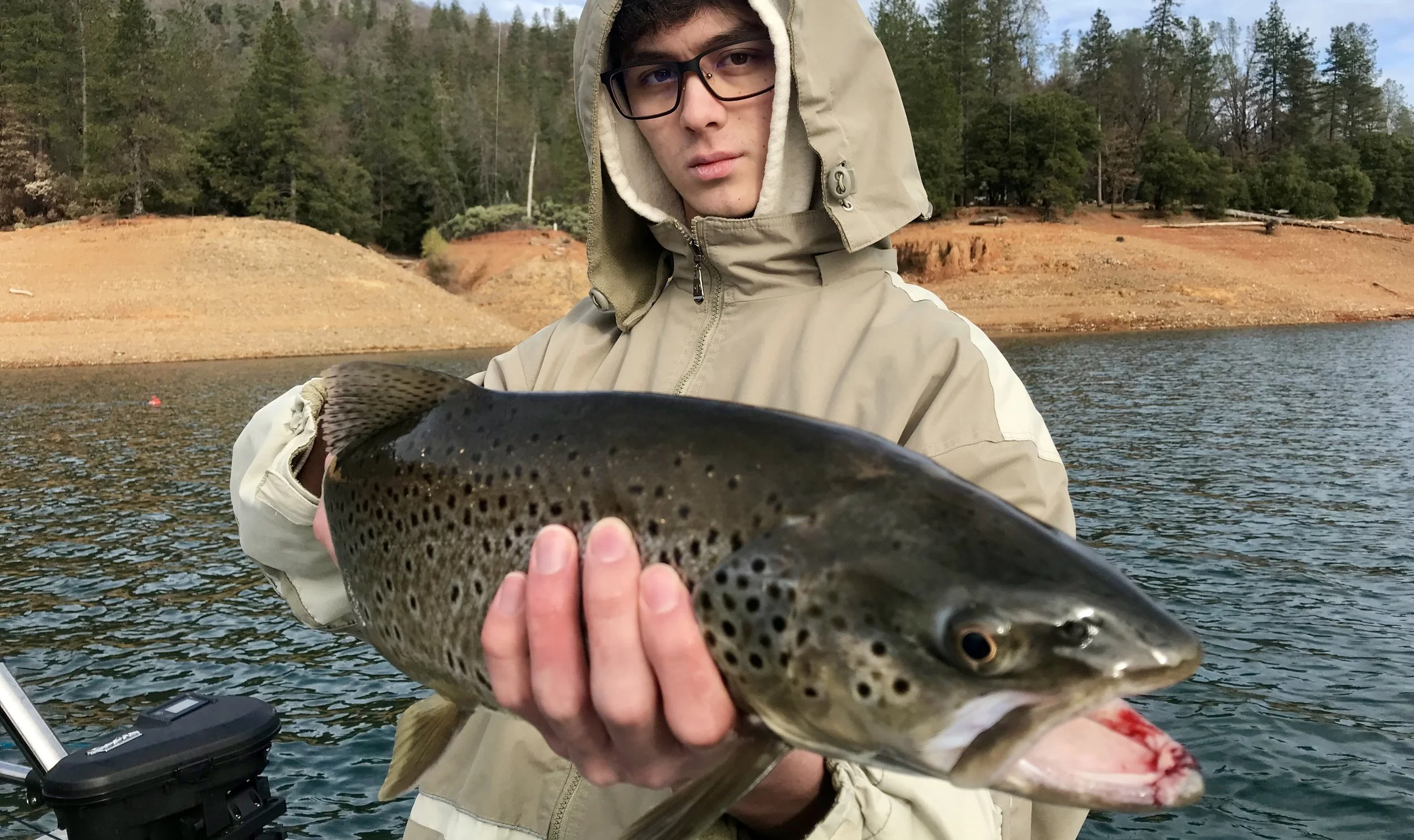 Shasta Lake brown bite still good!