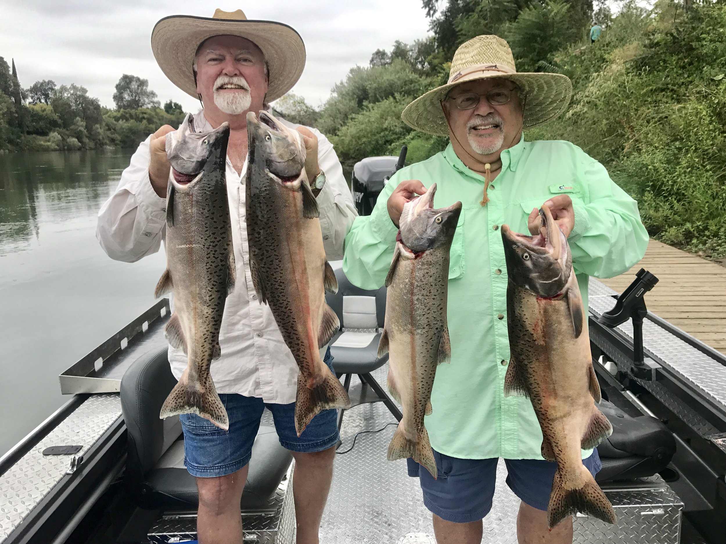 Average size Sacramento River King salmon in 2017... Ugh!