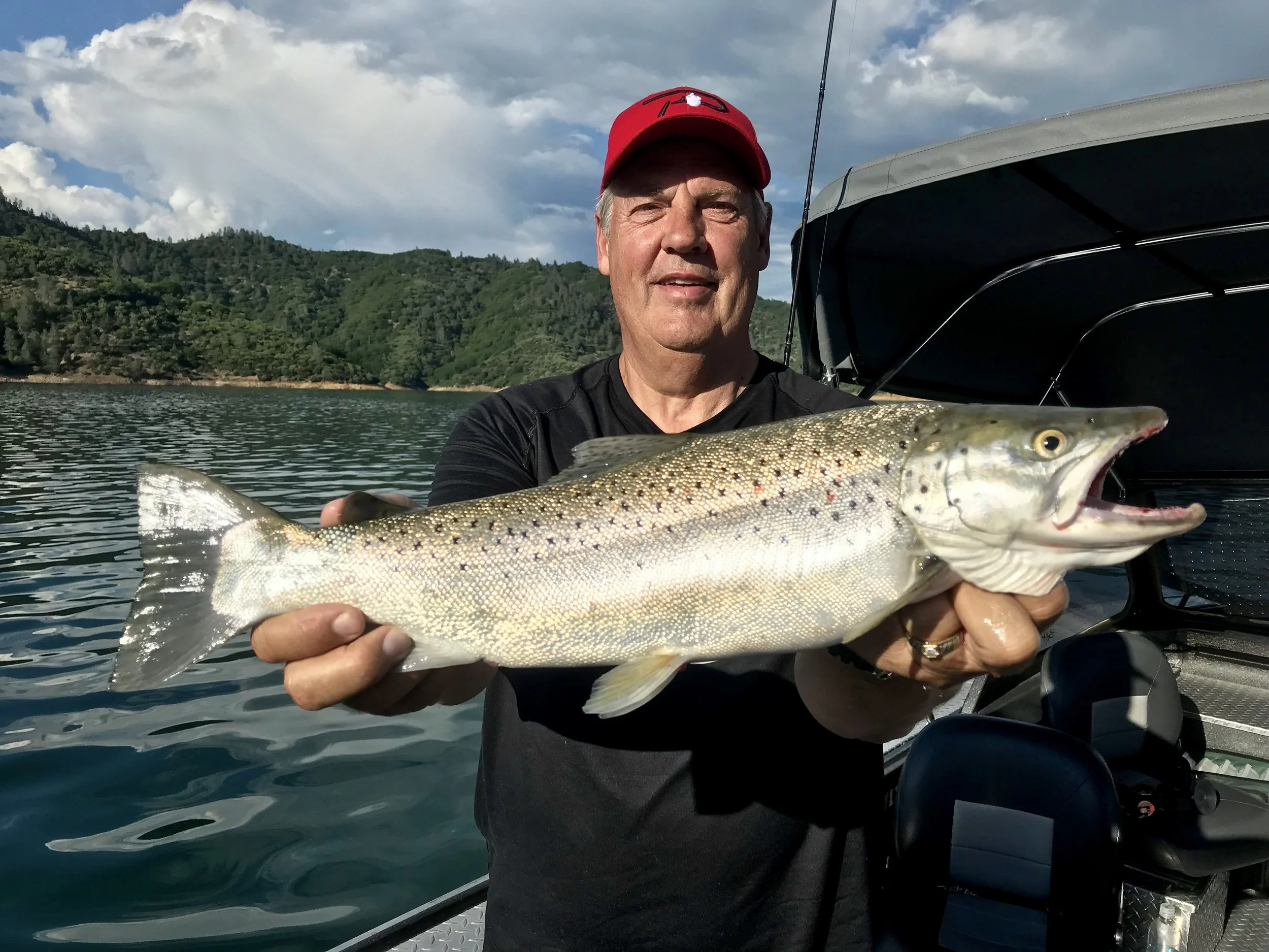 Spring tactics for fishing Shasta Lake trout and salmon