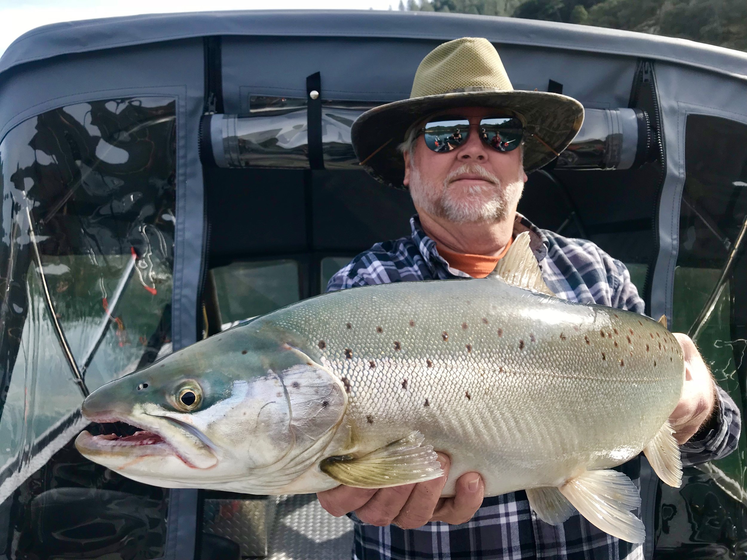 Multi pound brown trout are not easy to catch, but there are a few tactics you can use to consistently catch these monsters in Shasta Lake and other lakes that hold these amazing fish.