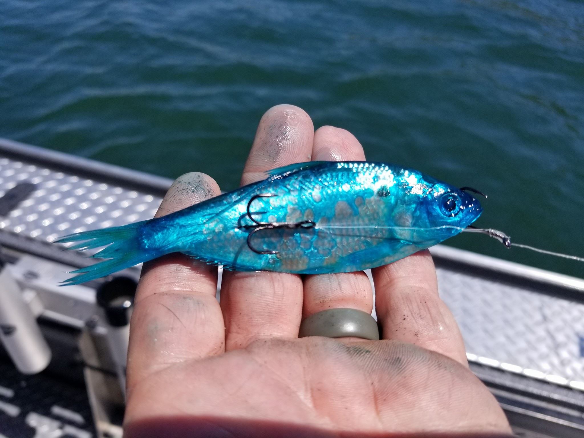  PAUTZKE'S High Octane Fire Dye, Blue Color - UV-Enhanced Bait  Dye, Fishing Lure Dye for Live Bait, Suitable in Fresh or Saltwater, Great  Fishing Lure Paint, Effective Minnow Dye, 4