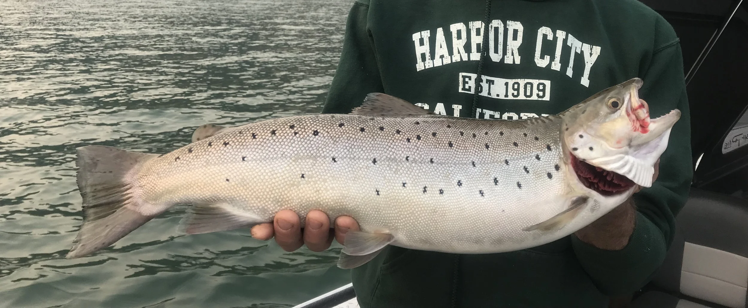Carr Fire and Shasta Lake fishing report.