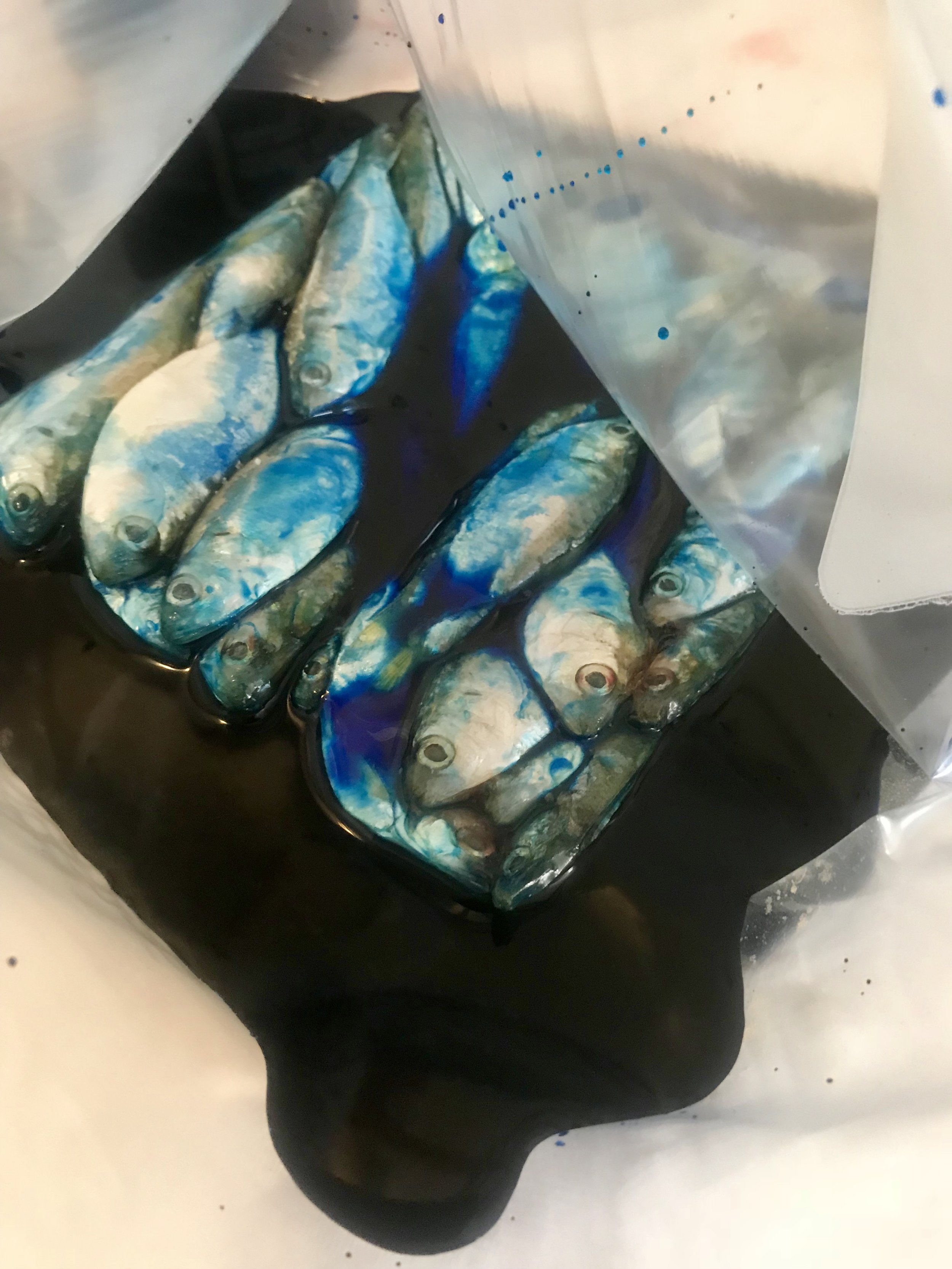 Frozen Shad submerged in Pautzke Fire Brine and Pautzke Fire Dye via the plastic baggie method.