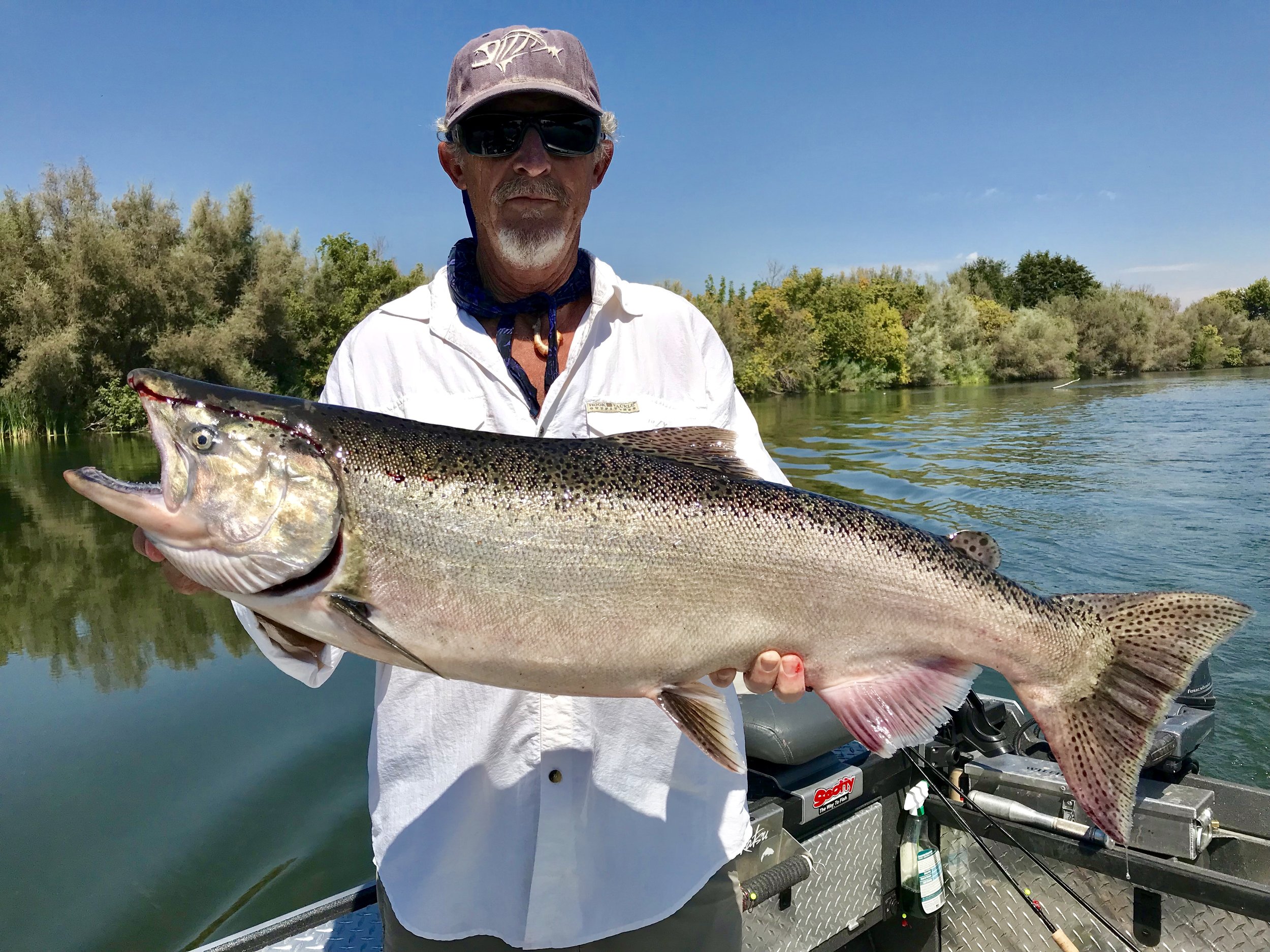 Ron with a bright Sac River salmon he caught near Corning, Ca.