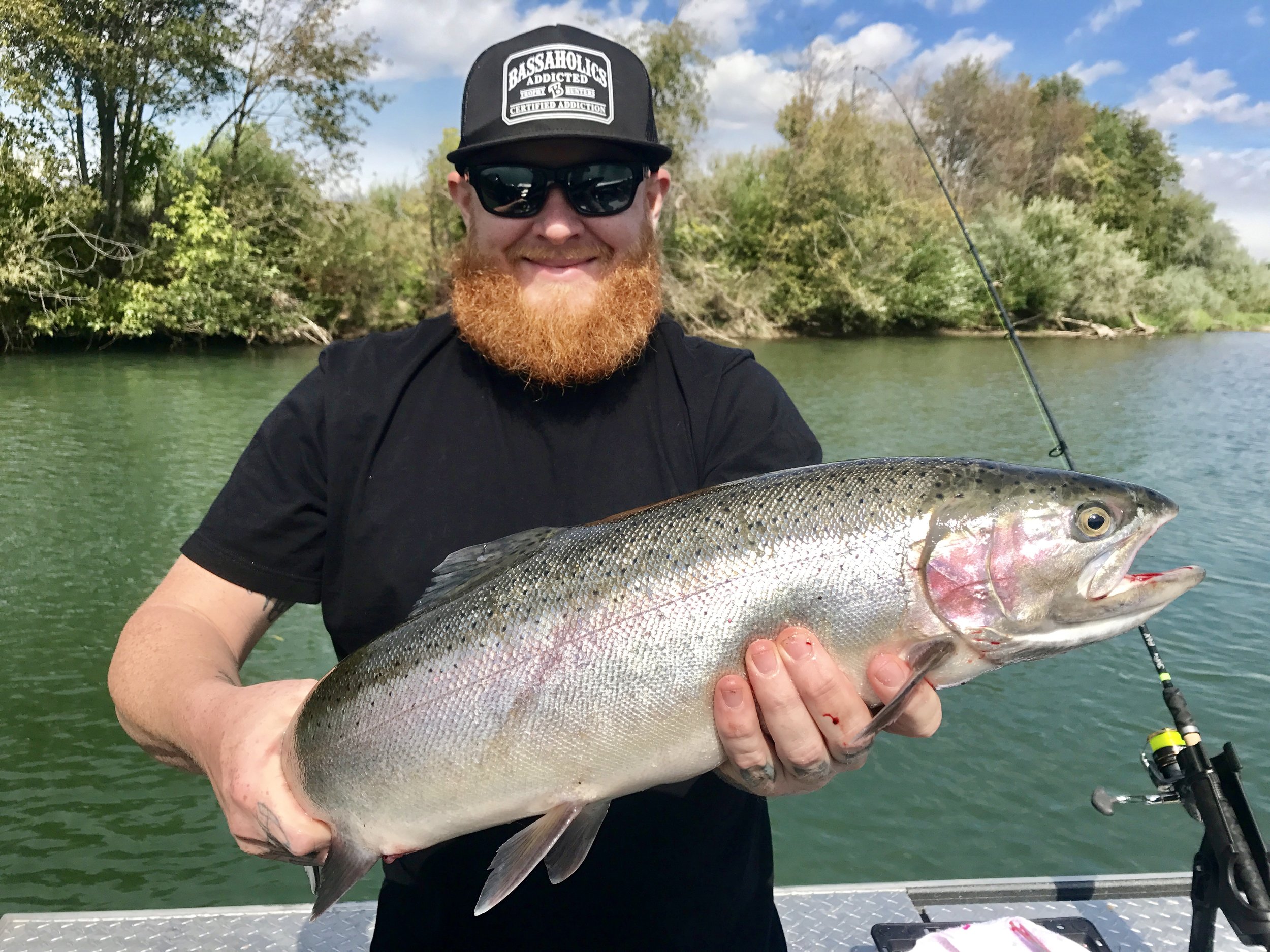 We're expecting to see some beauties like this Barge Hole steelhead caught last year in October.