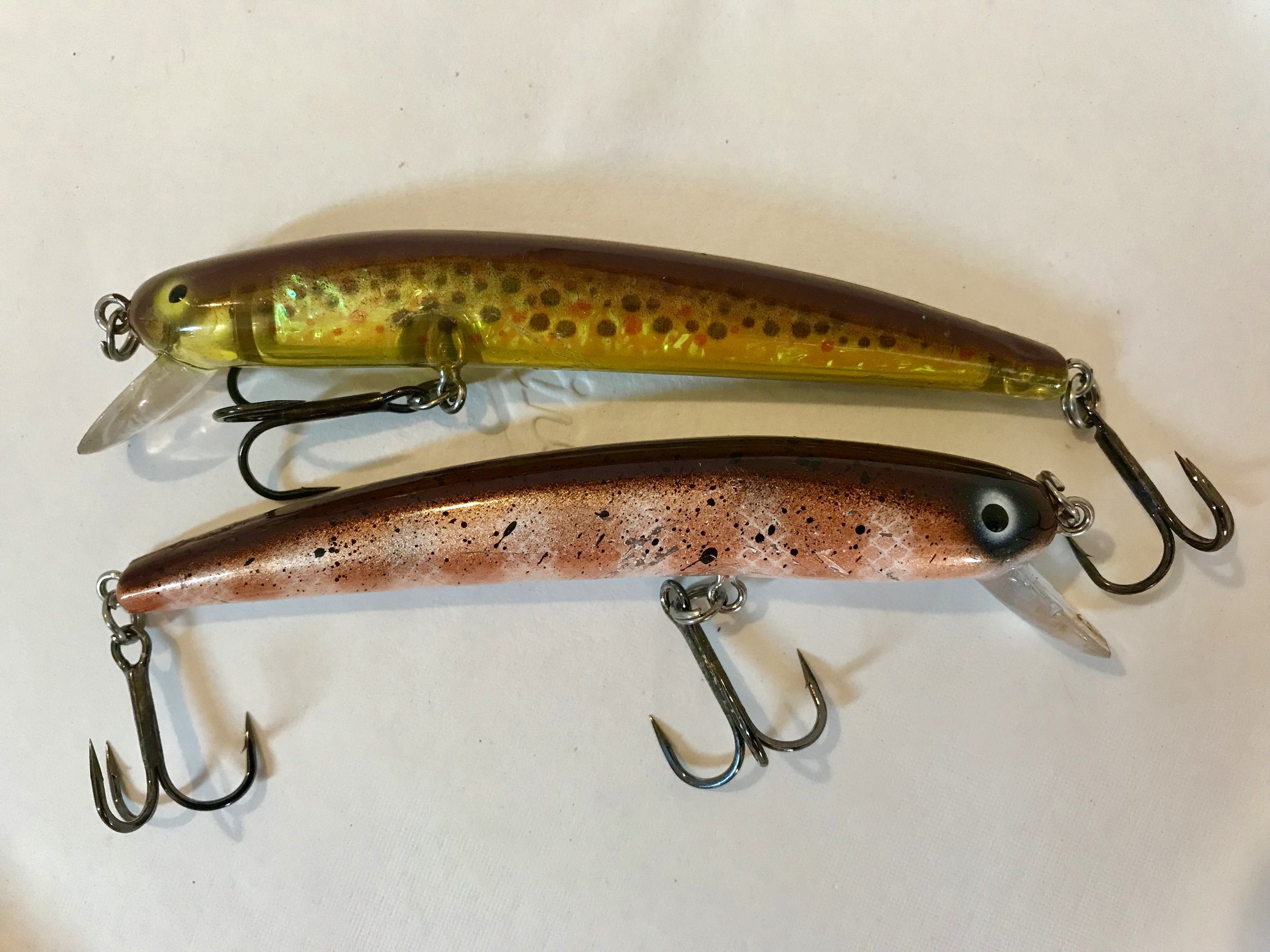 Two top color pattern choices for Shasta Lake!