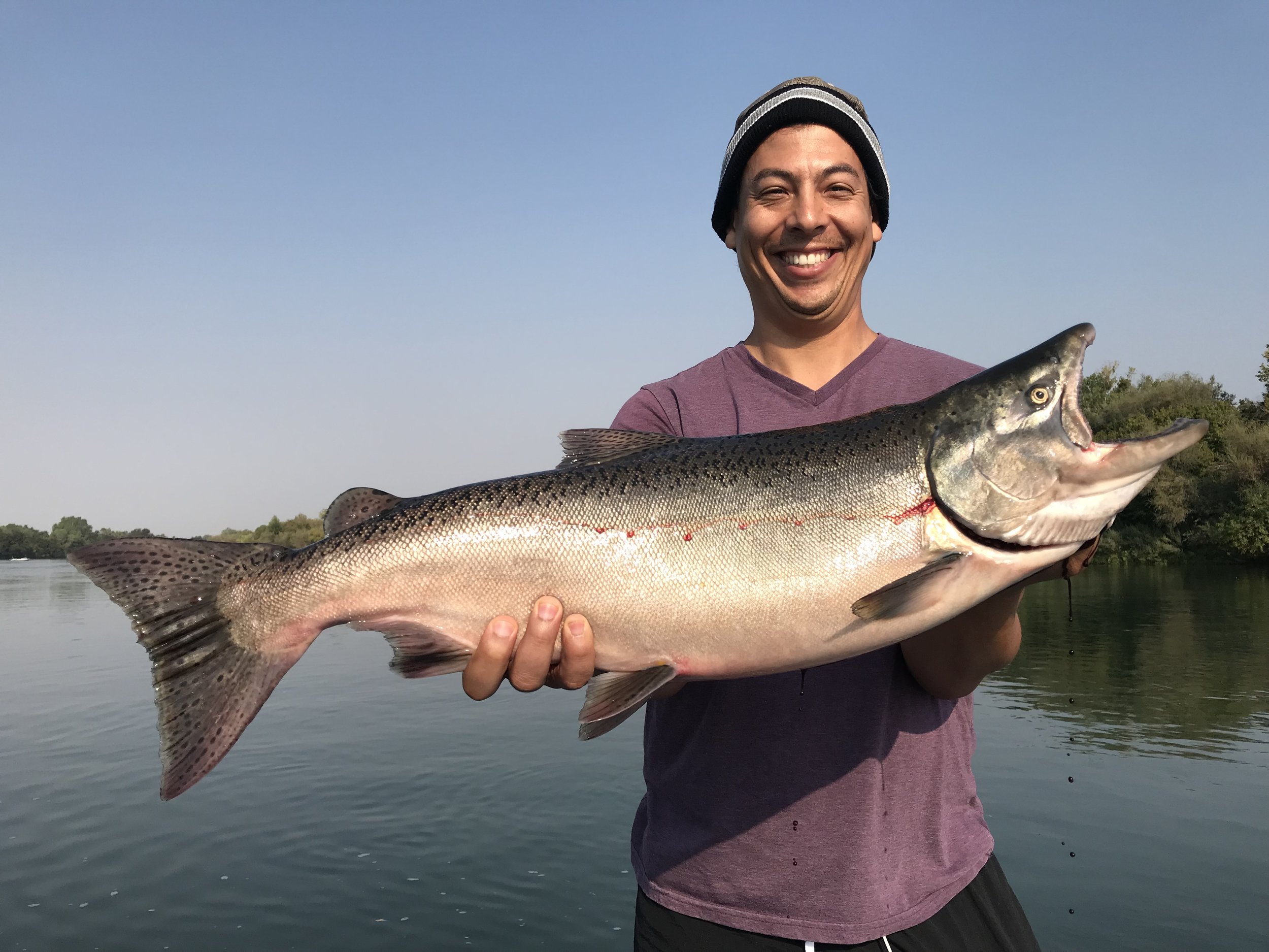 I caught my first fish ever! (King salmon) : r/Fishing