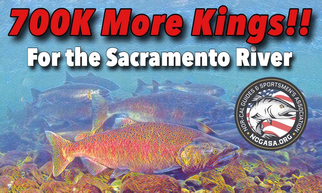 Good news from the President of ncgasa.org, Capt. James Stone! Good things are happening at the hands of NCGASA and the sportsman's voice continues to make positive changes in our California fisheries! Please join us as we work towards better fishing and hunting in California! Join online @ ncgasa.org today! Photo Credit: Capt. James Stone