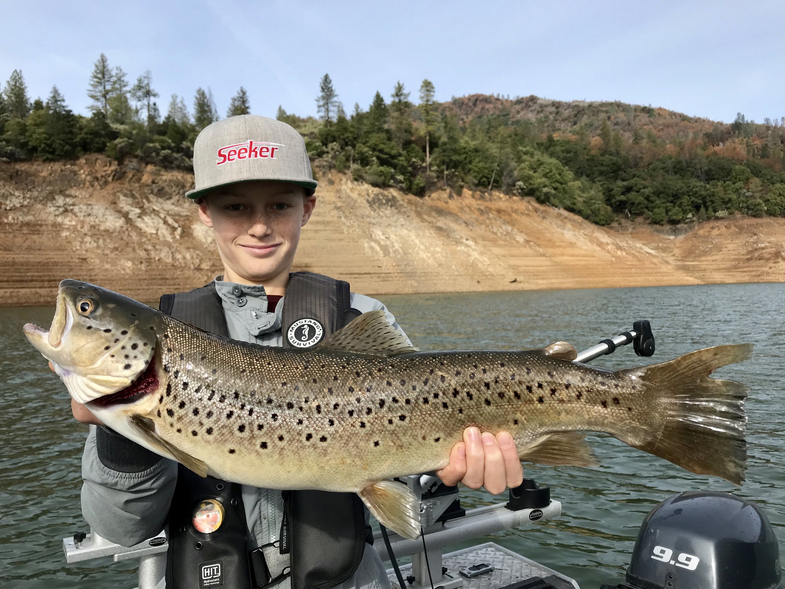 Shasta browns are back in their fall/winter migration pattern and we are catching them now!