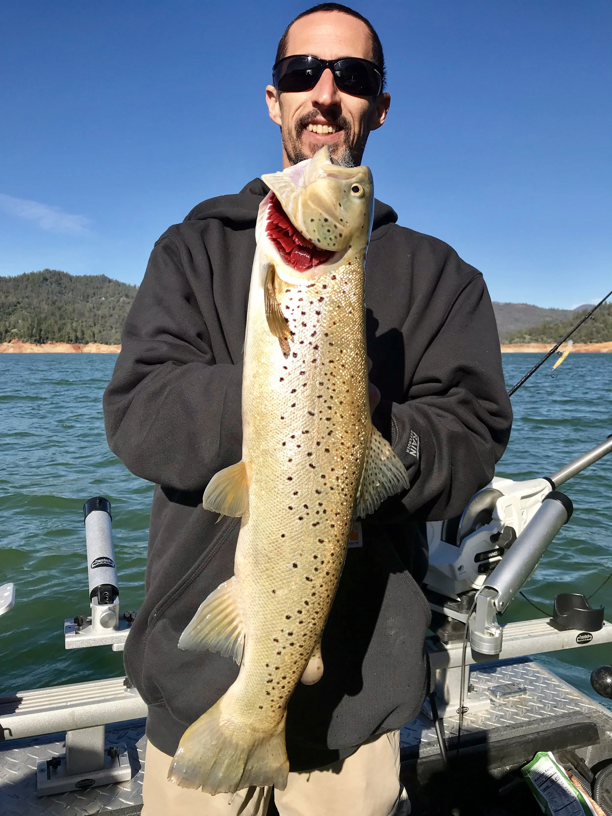Late November kicks off our trophy Shasta Lake brown and rainbow trout fall/winter fishing season. As these big adult rainbows and browns prepare for their spawning season in the Shasta Lake tributaries, we are preparing to catch some of our biggest trout of the year during their migrations up and down the lake. We hunt trophy trout, but we can also go to known locations where we catch good numbers of 16”-18” rainbow trout if the trophy hunting is too slow. Either way, we will catch fish and we always have a great time on the water with our clients!