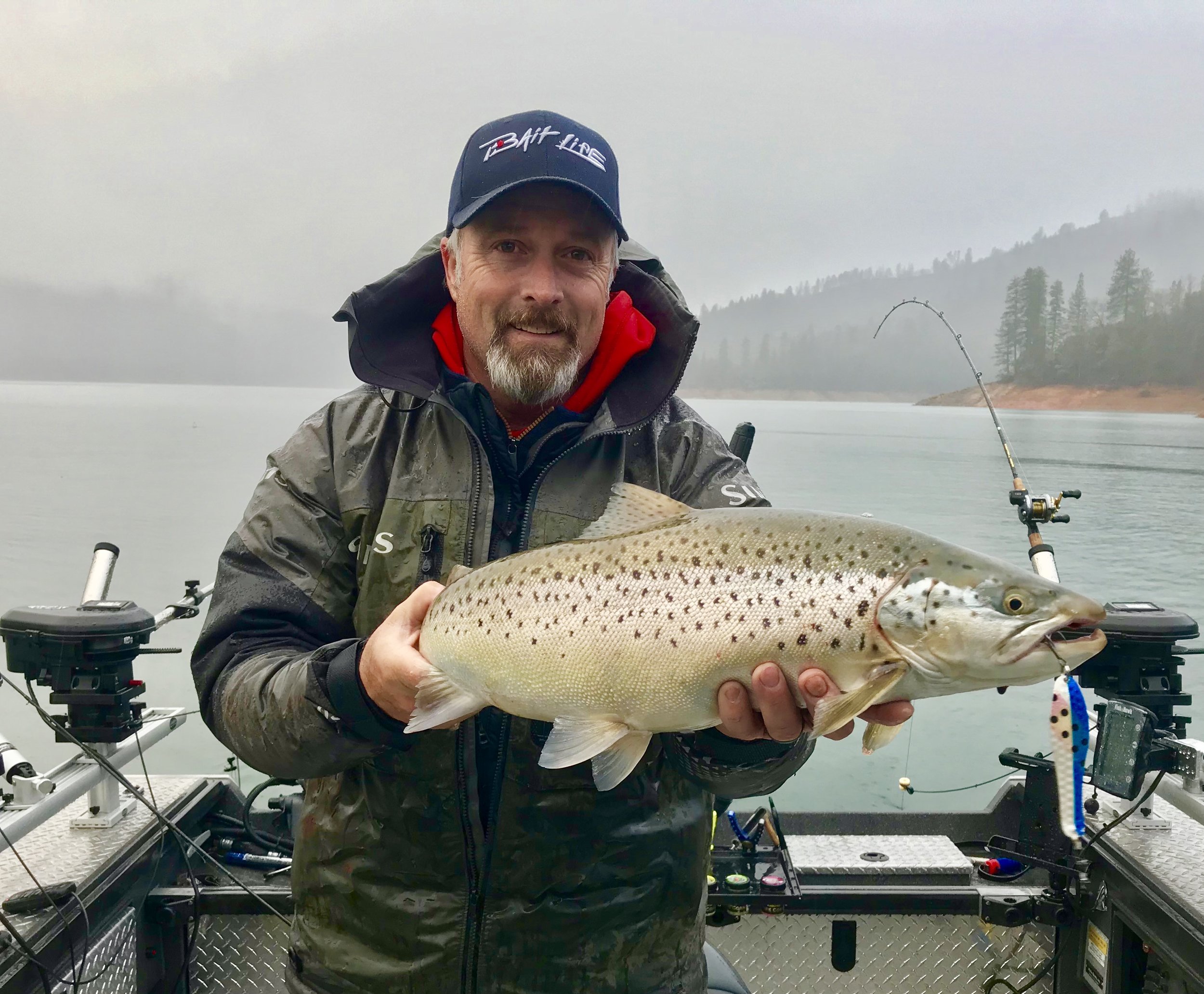 Shasta Lake winter/spring brown trout!