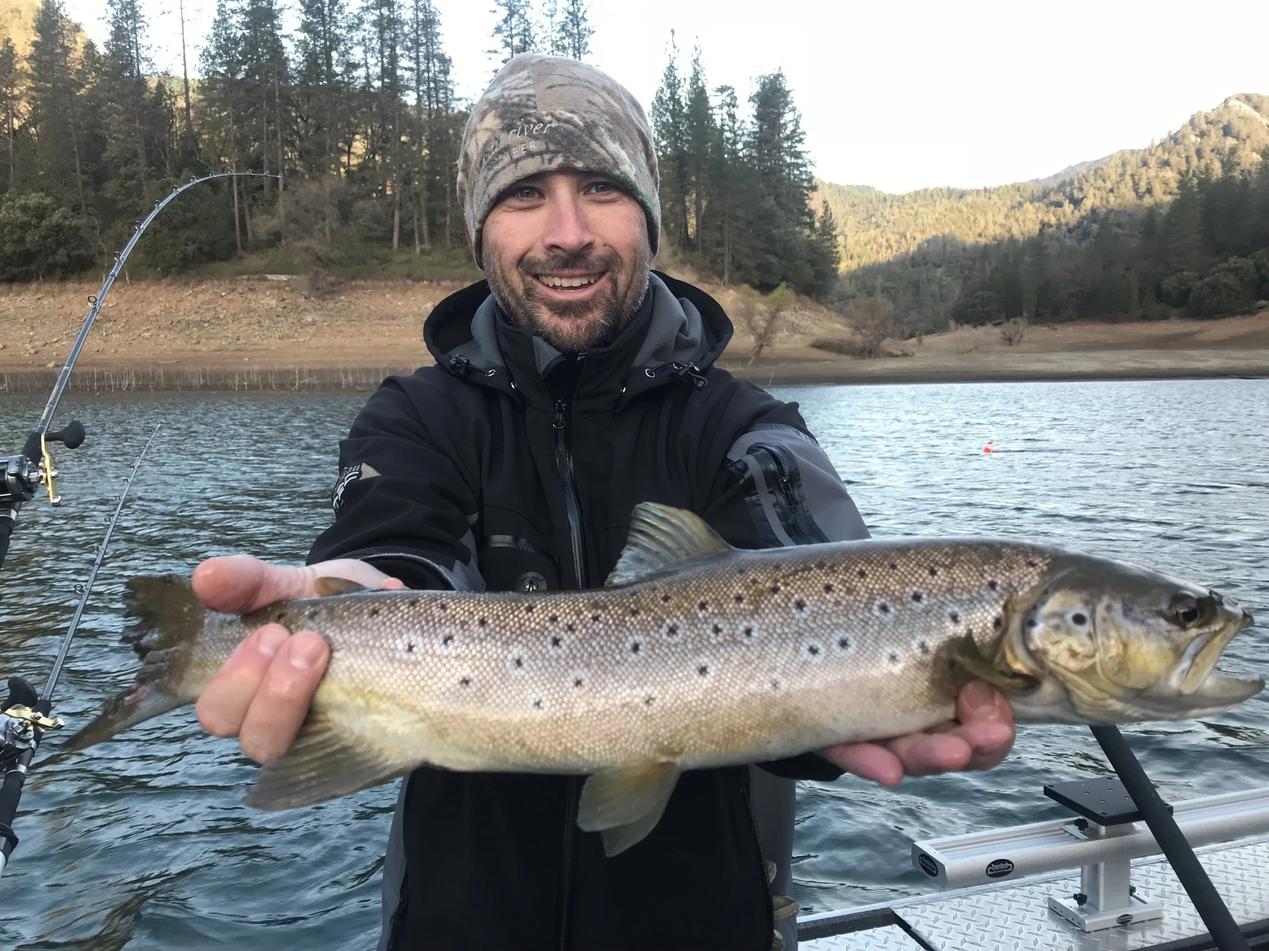 Shasta Lake spring browns!