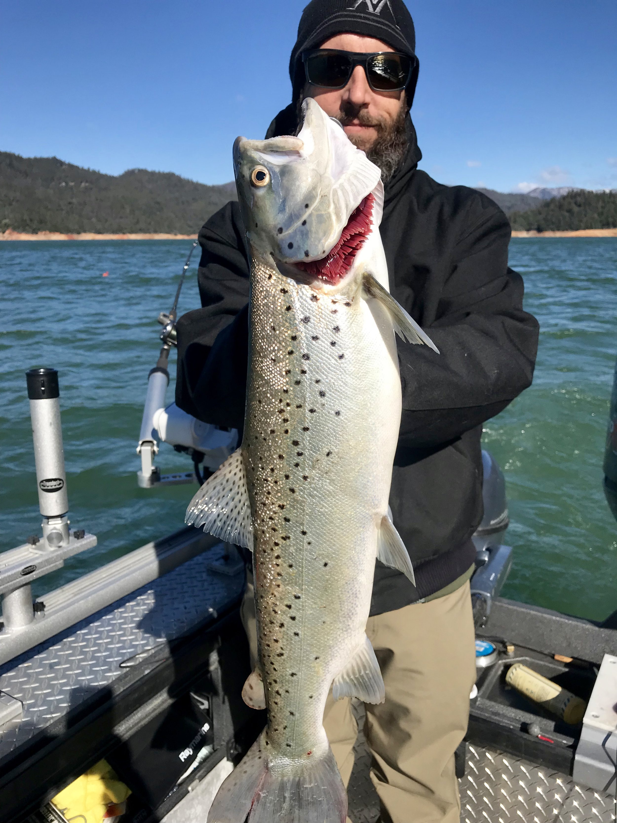 Shasta Lake brown trout fishing report! — Jeff Goodwin Fishing