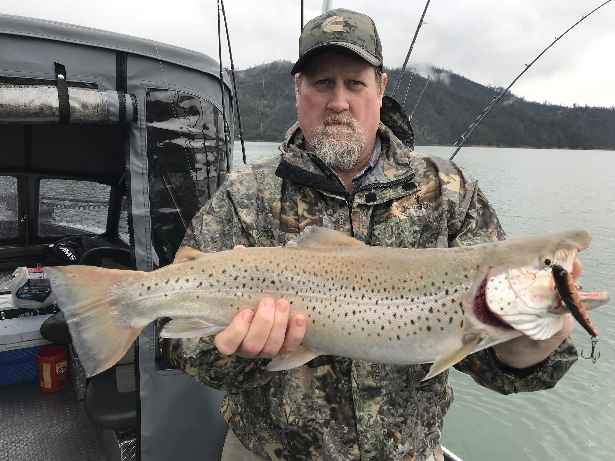Shasta Lake brown trout fishing report!