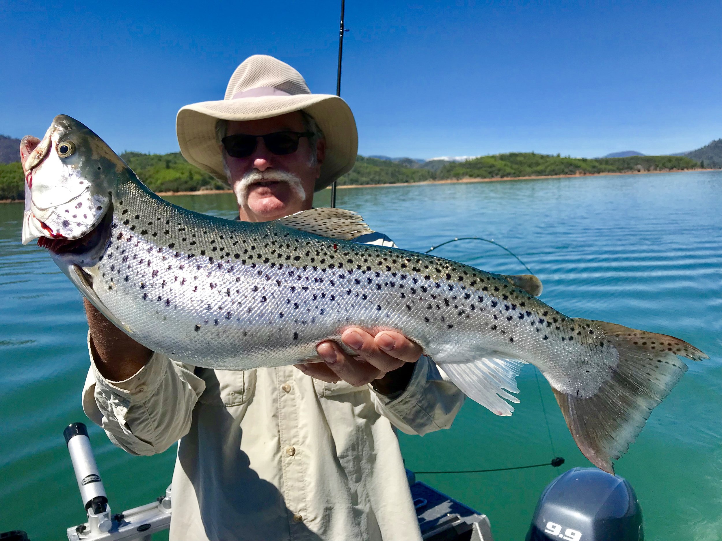 Trolling for Shasta Lake Trophy trout. — Jeff Goodwin Fishing