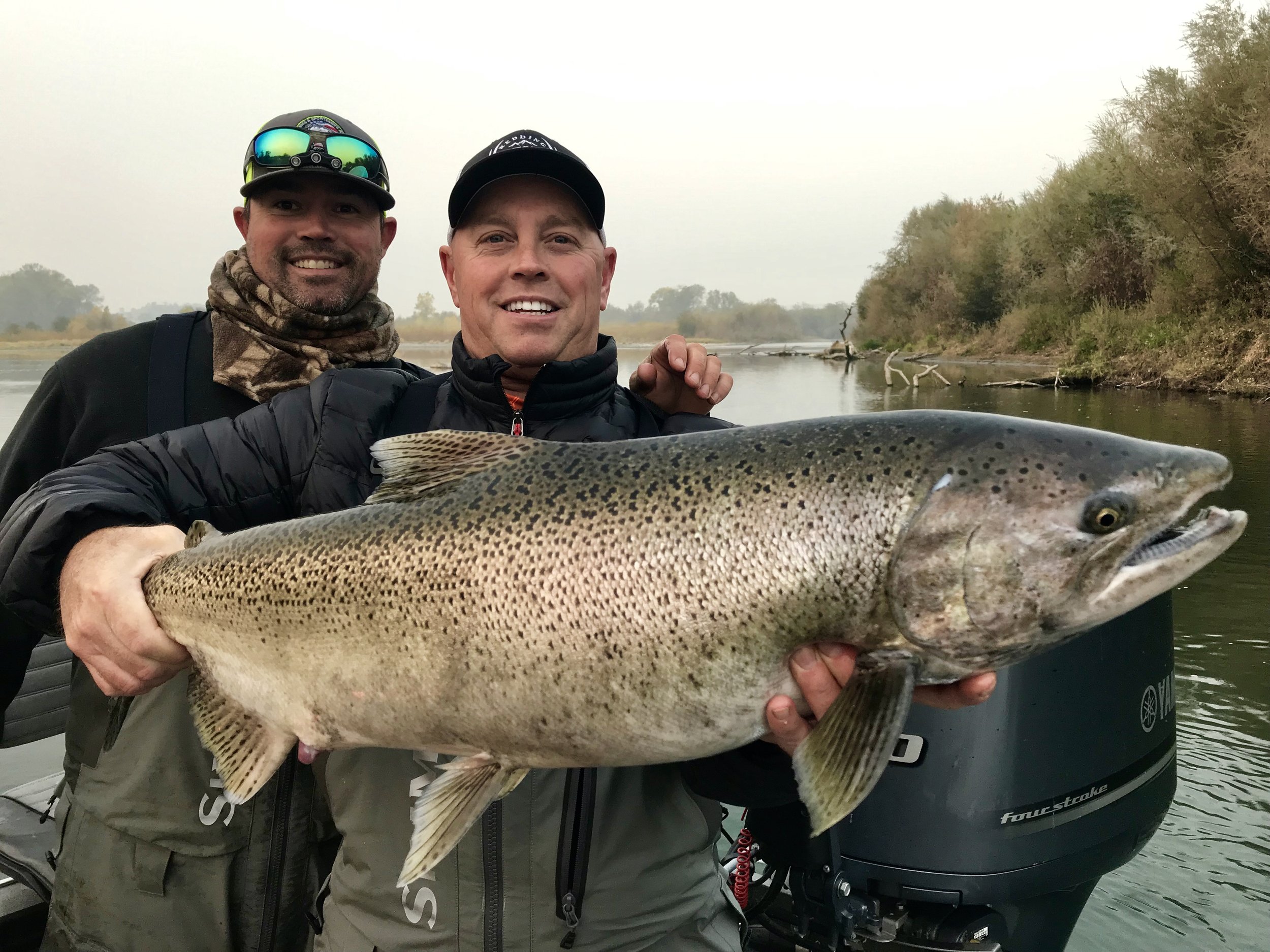 Big Late fall King on the Sacramento River with our Captains Justin Thompson and Kenny Turner!