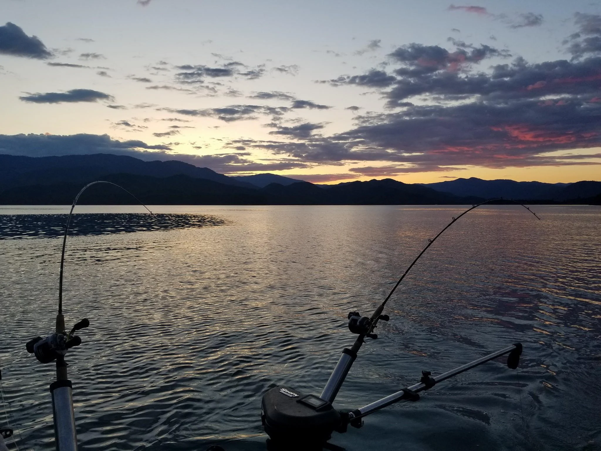Shasta Lake mornings are pure magic and the trout fishing is just one of the things that make summer on Shasta Lake so special. Catching fish on northern California’s largest reservoir is most often considered a small bonus considering all of the great things you’ll see throughout the day.