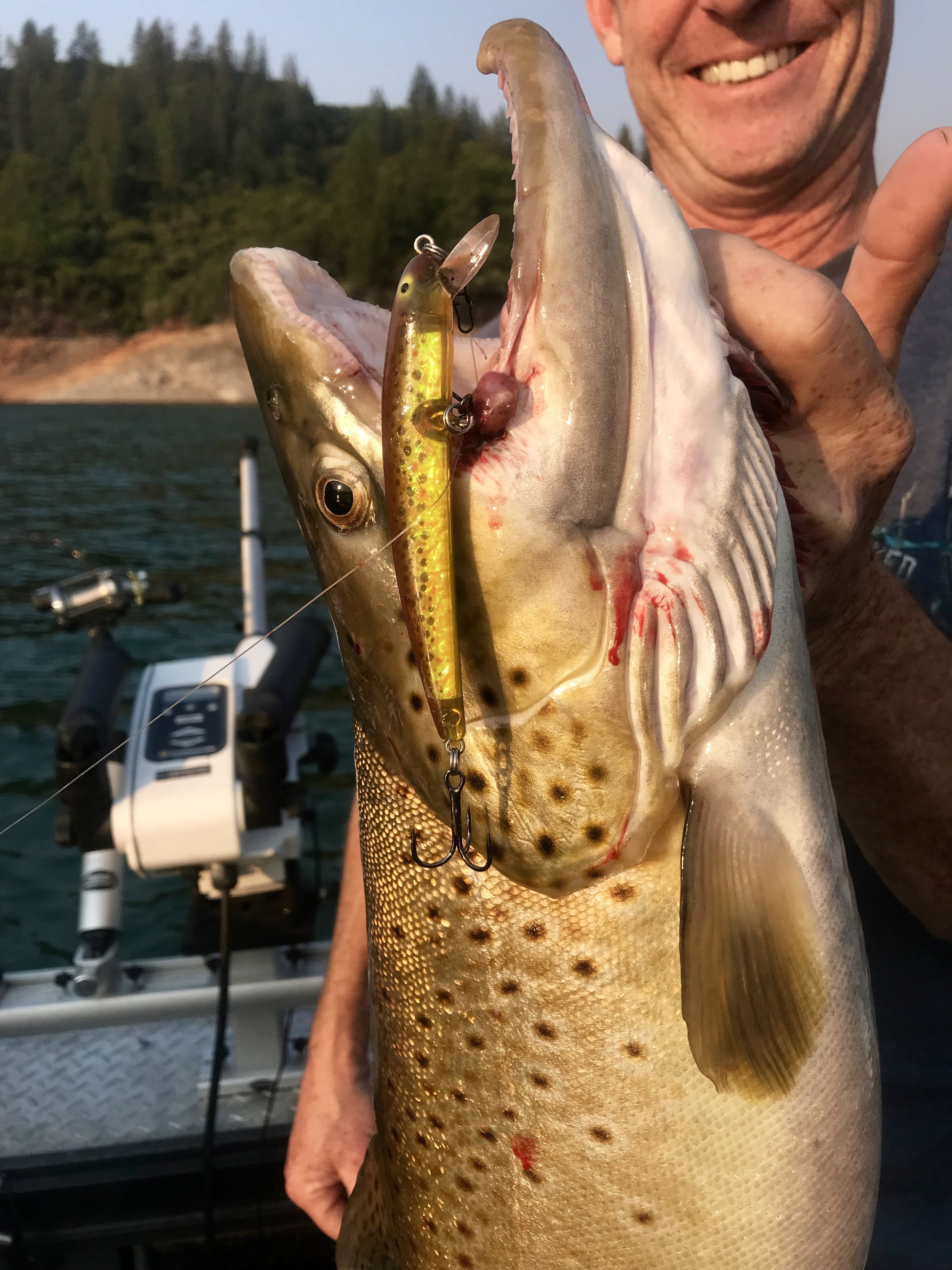 Shasta Lake summer trout fishing. — Jeff Goodwin Fishing