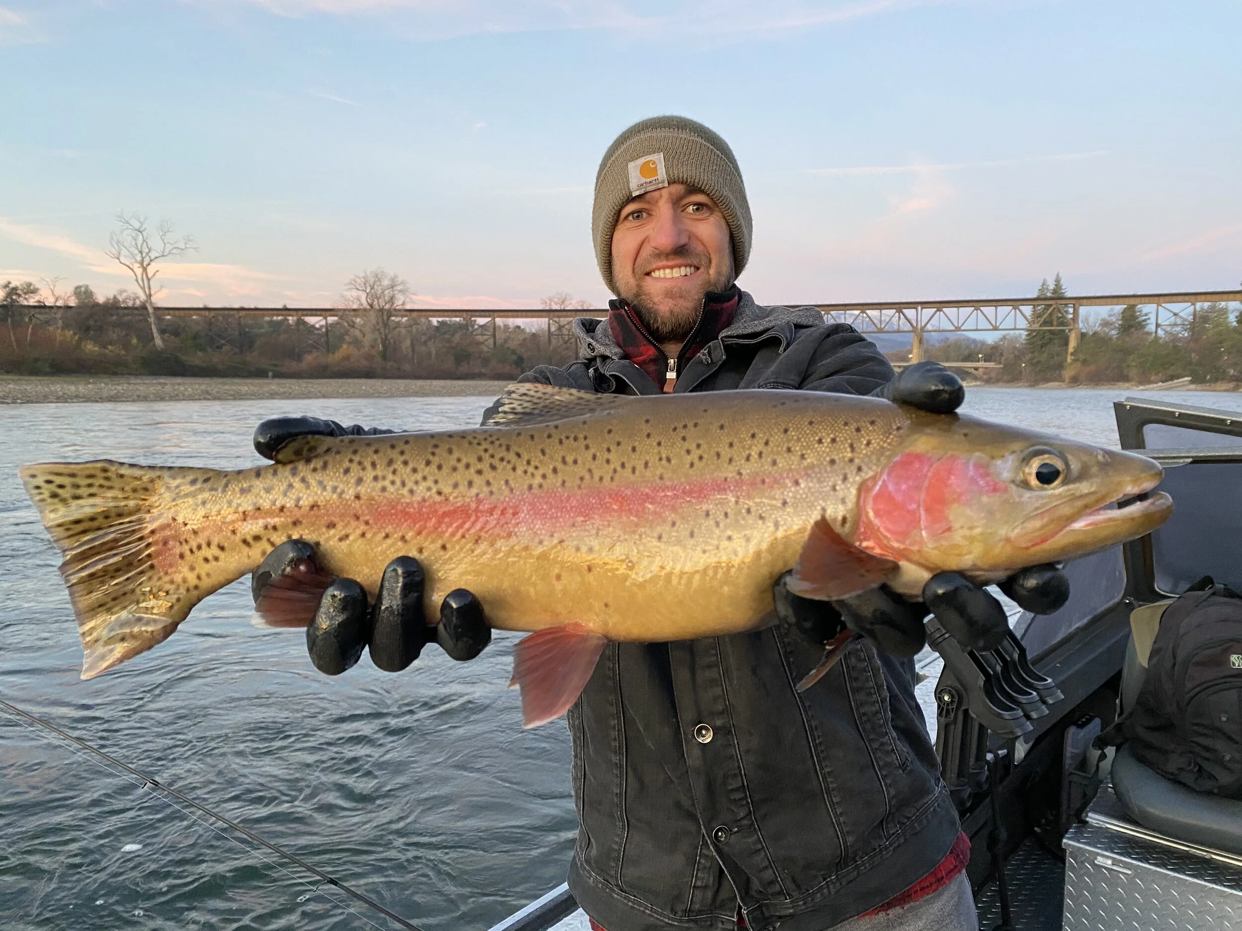 Lower Sacramento River trout fishing