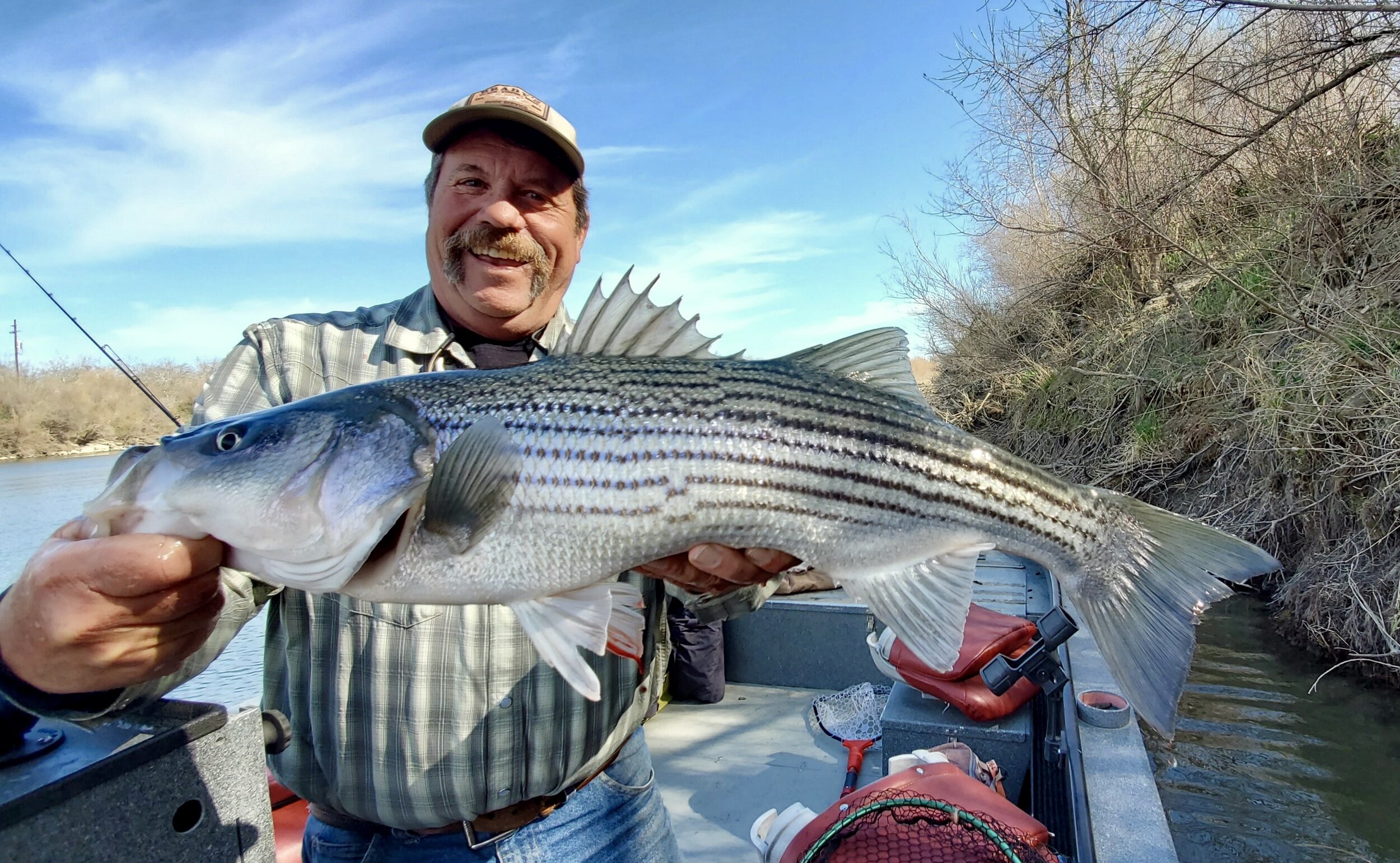 Sacramento Striped Bass Report! — Jeff Goodwin Fishing