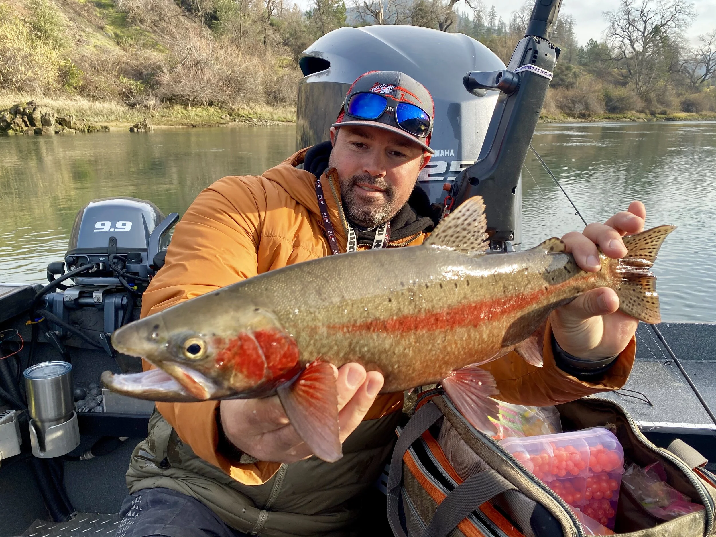 Sacramento River trout fishing report