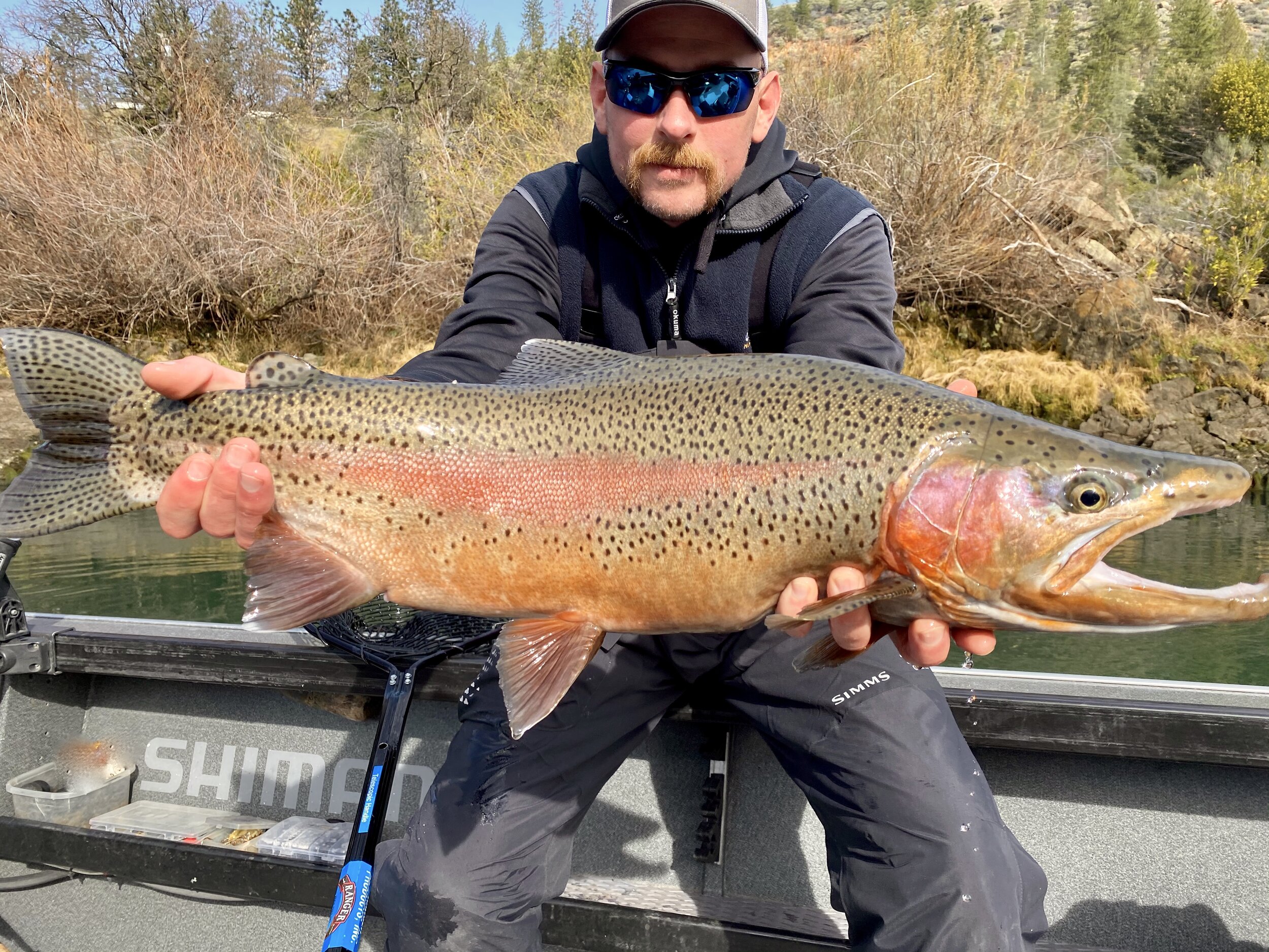 Sacramento River trout fishing report — Jeff Goodwin Fishing