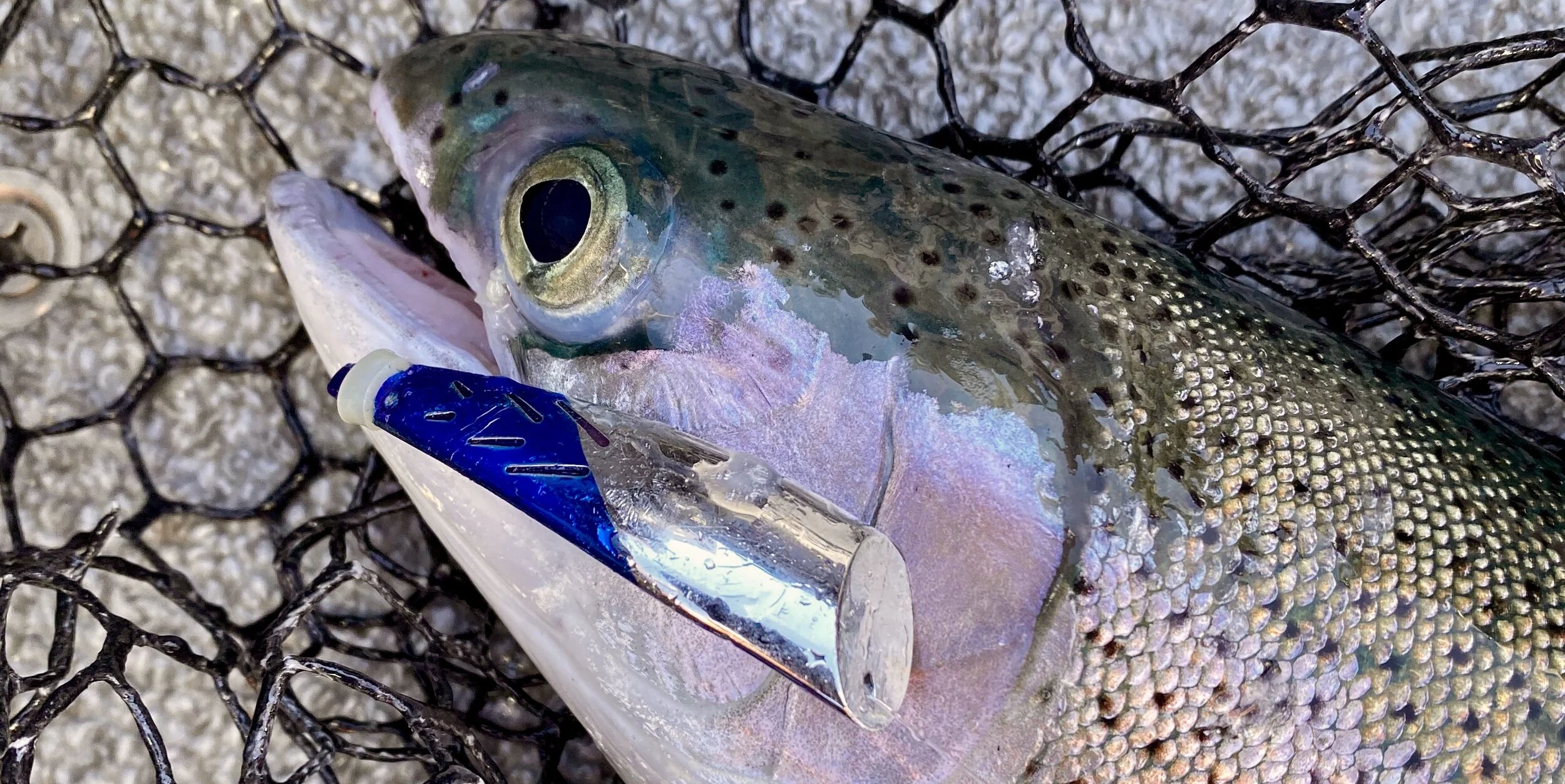 Brad's Kokanee Cut Plug (KCP) Shasta Rig