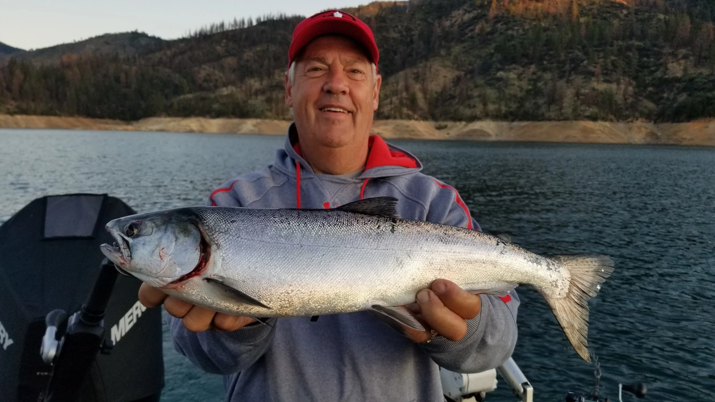 Shasta Lake dominates our bookings again this week!