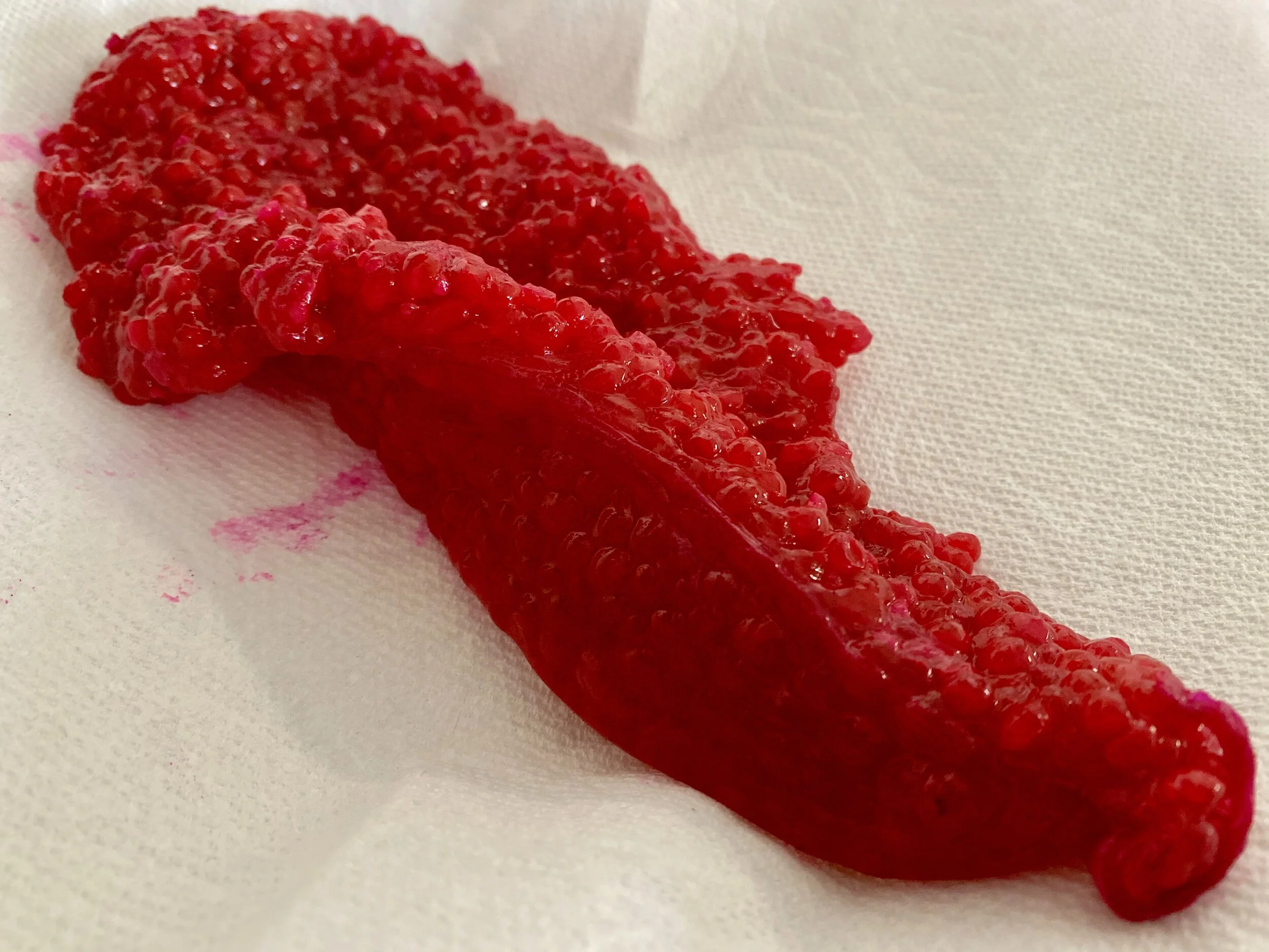 Curing eggs for Sacramento River Kings!