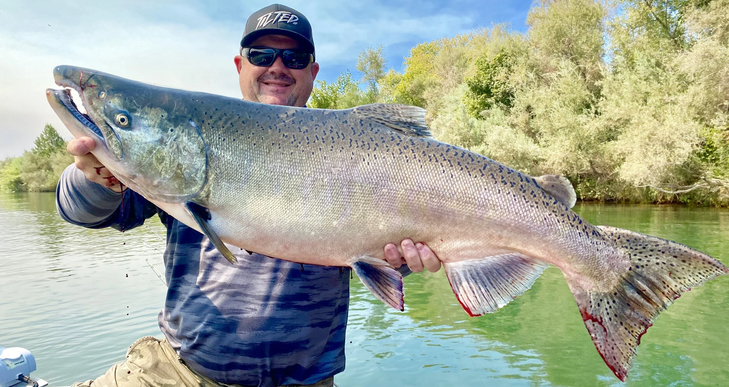 Sacramento River salmon fishing report!