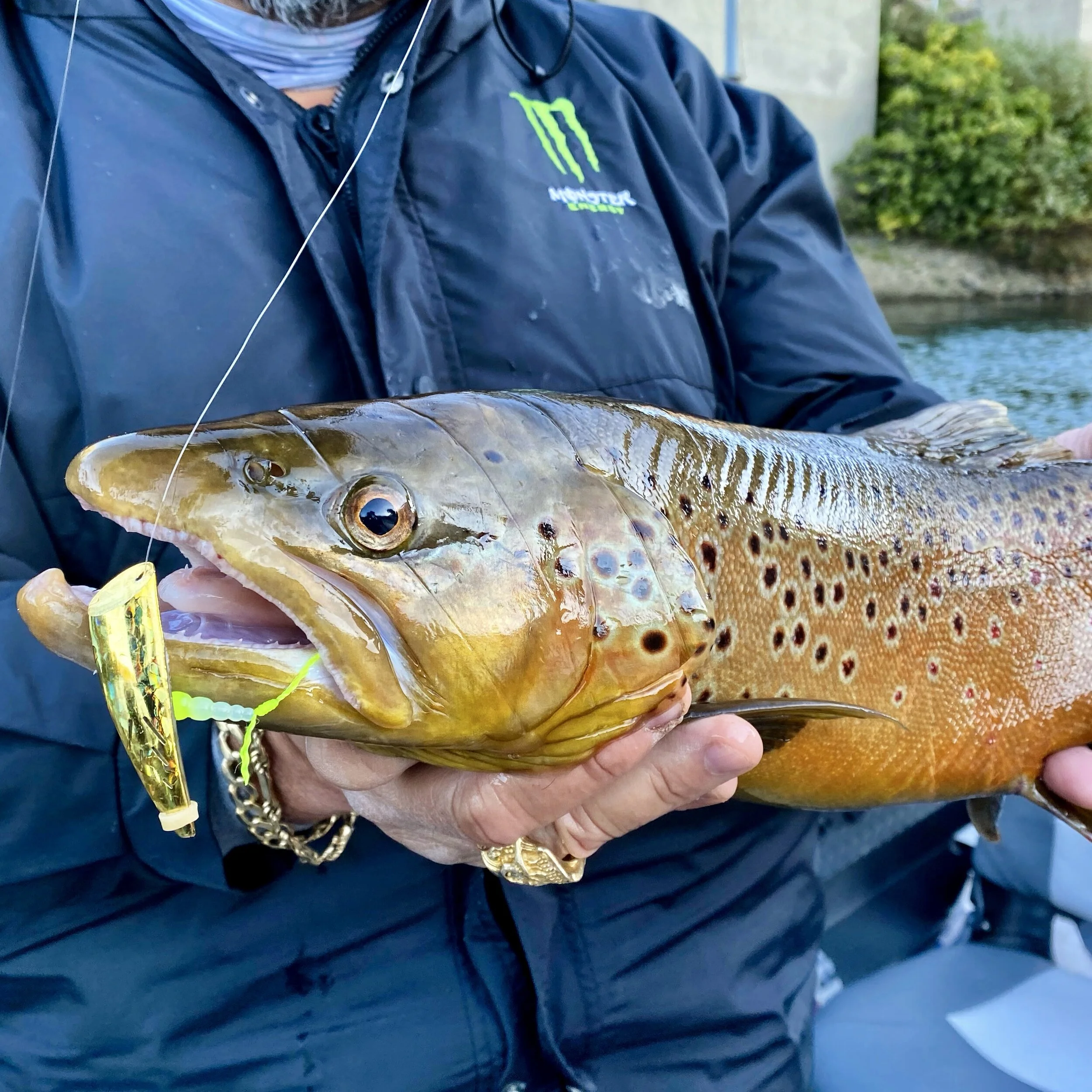 Fishing Shasta Lake In January
