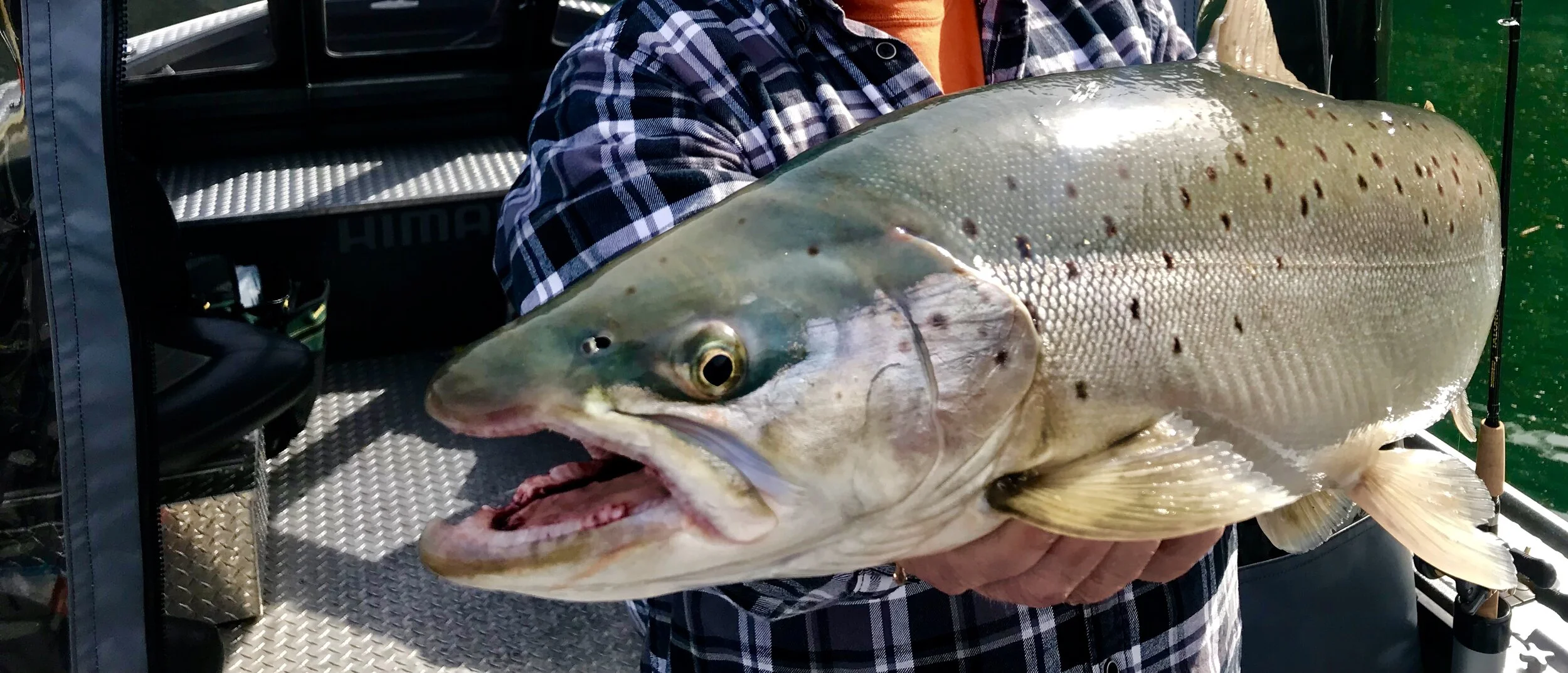 Fishing Shasta Lake in February