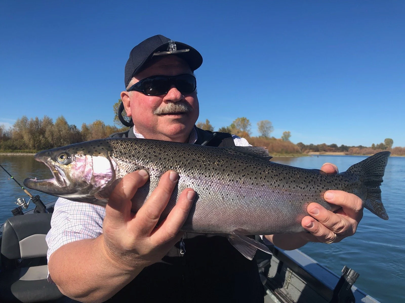 Sacramento River Steelhead Fishing Report