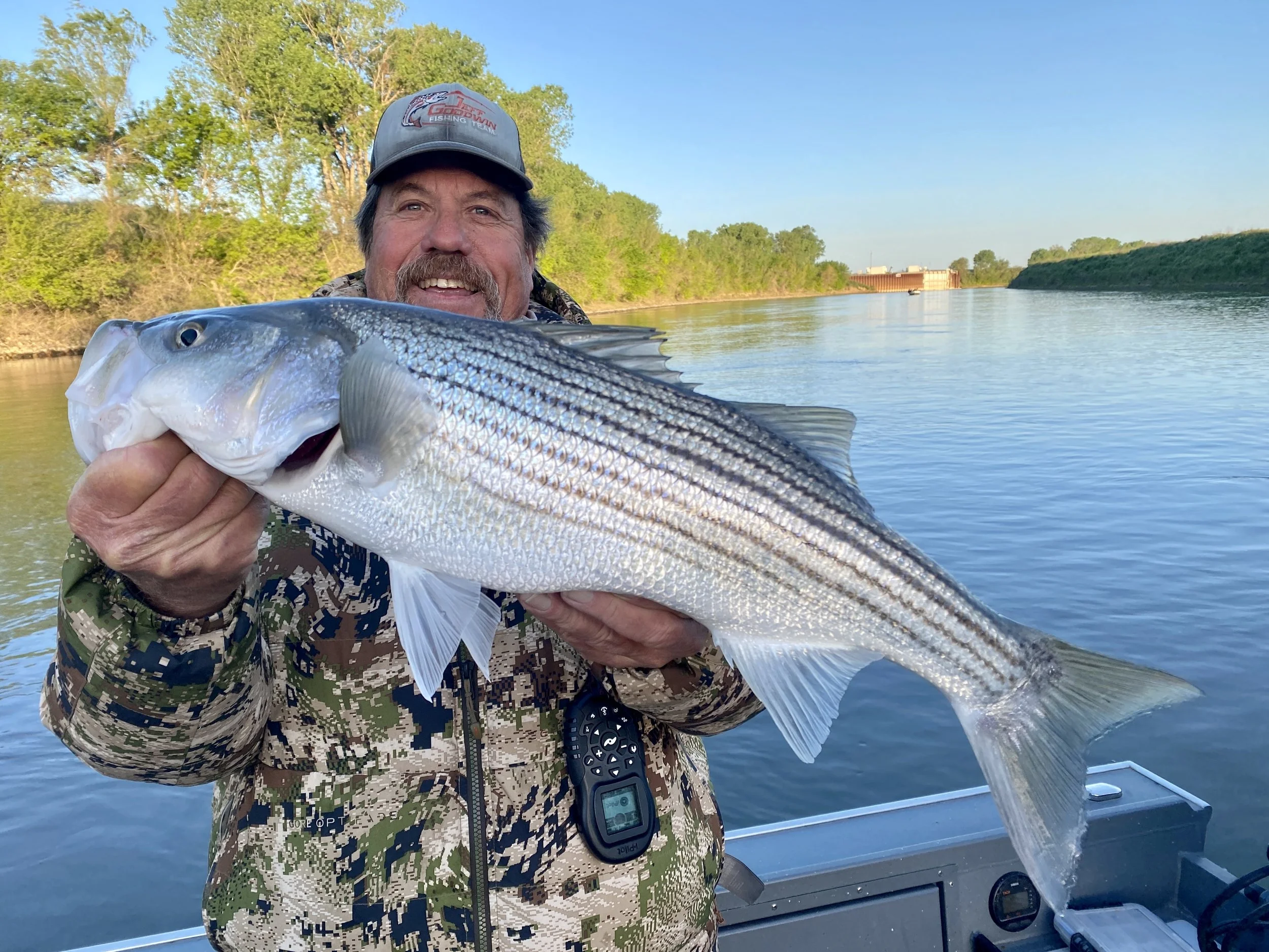 2023 Sacramento River Striped Bass Fishing Report!
