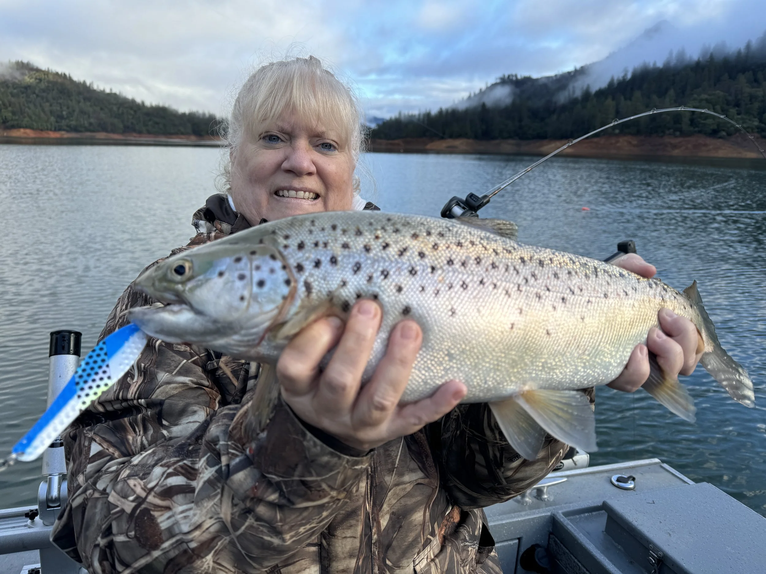 Shasta Lake Brown Trout Report
