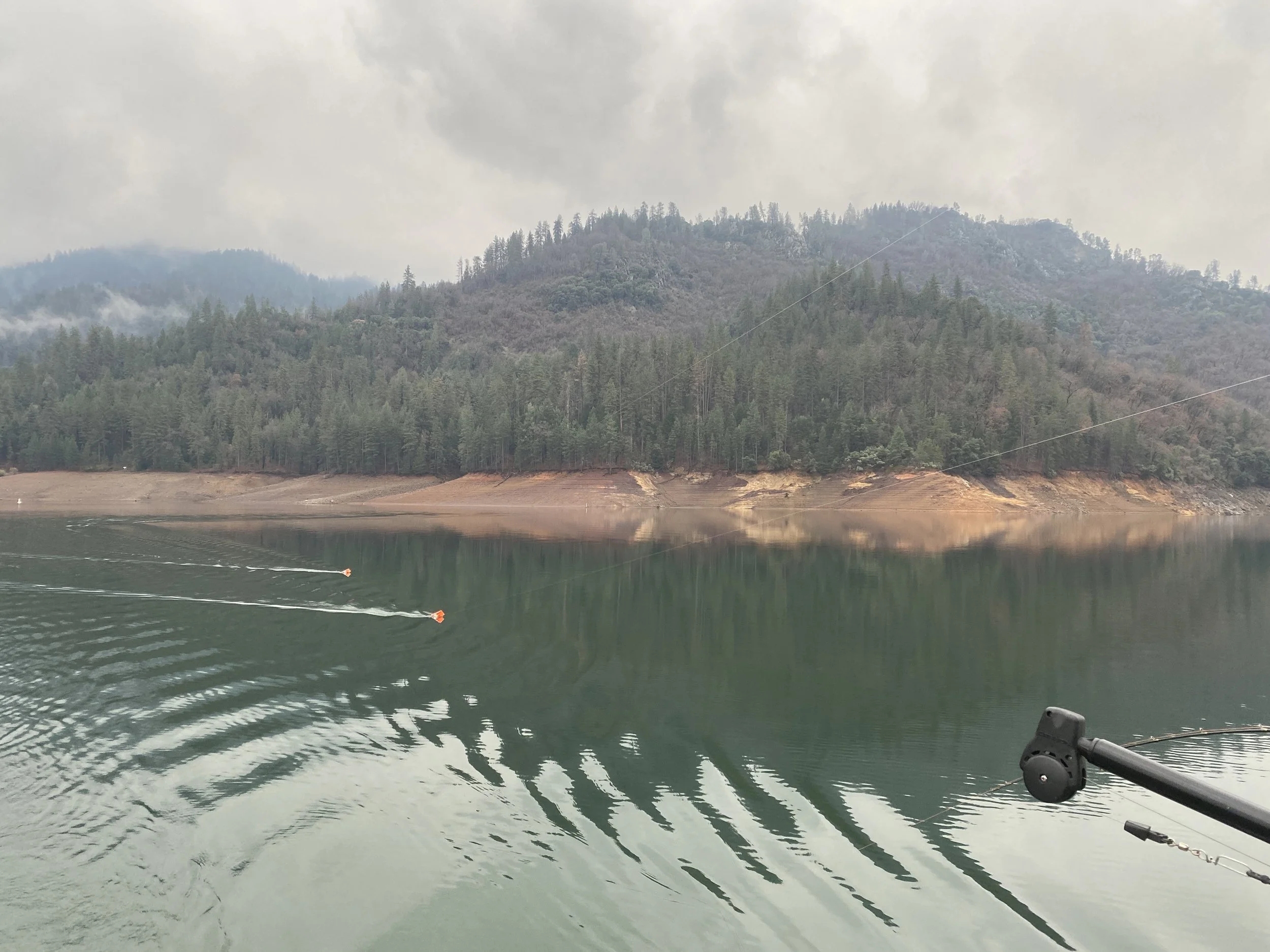 Big Rainbows This Month On Shasta Lake