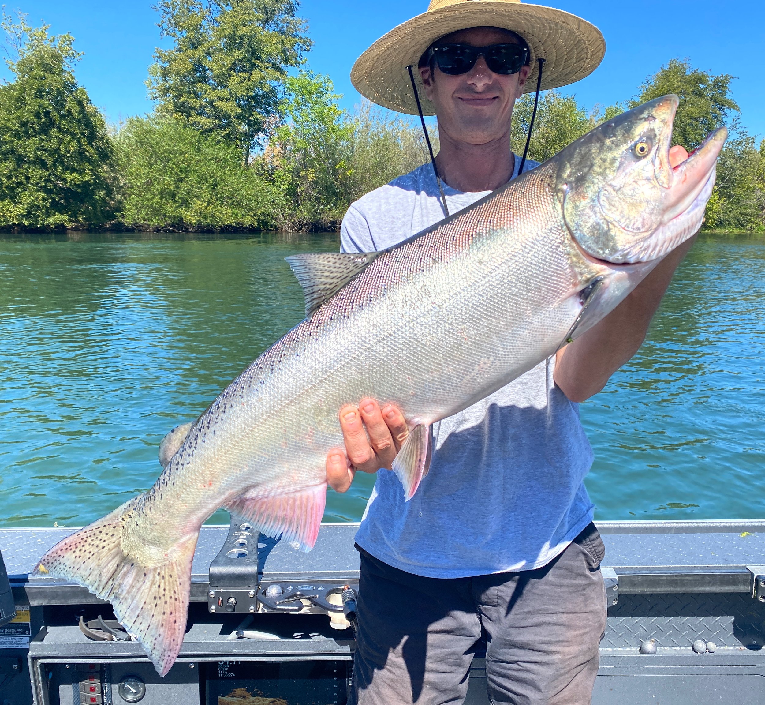 Sacramento River King Salmon & Steelhead Trout — Jeff Goodwin Fishing