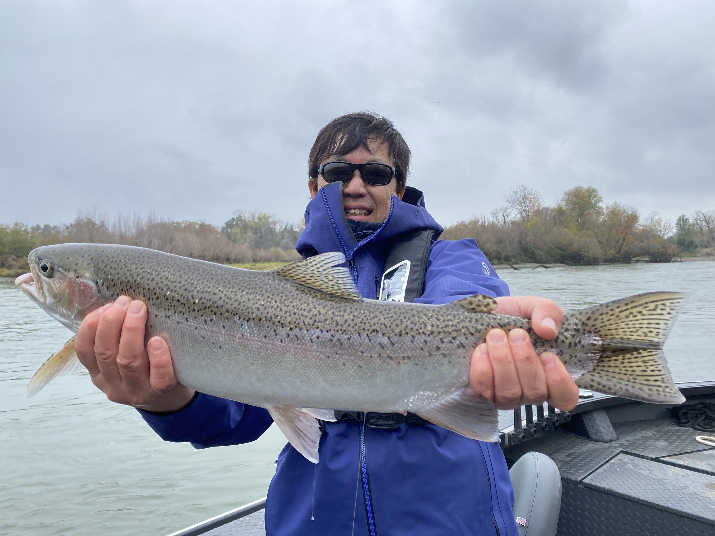 Sacramento River Steelhead Fishing Report — Jeff Goodwin Fishing