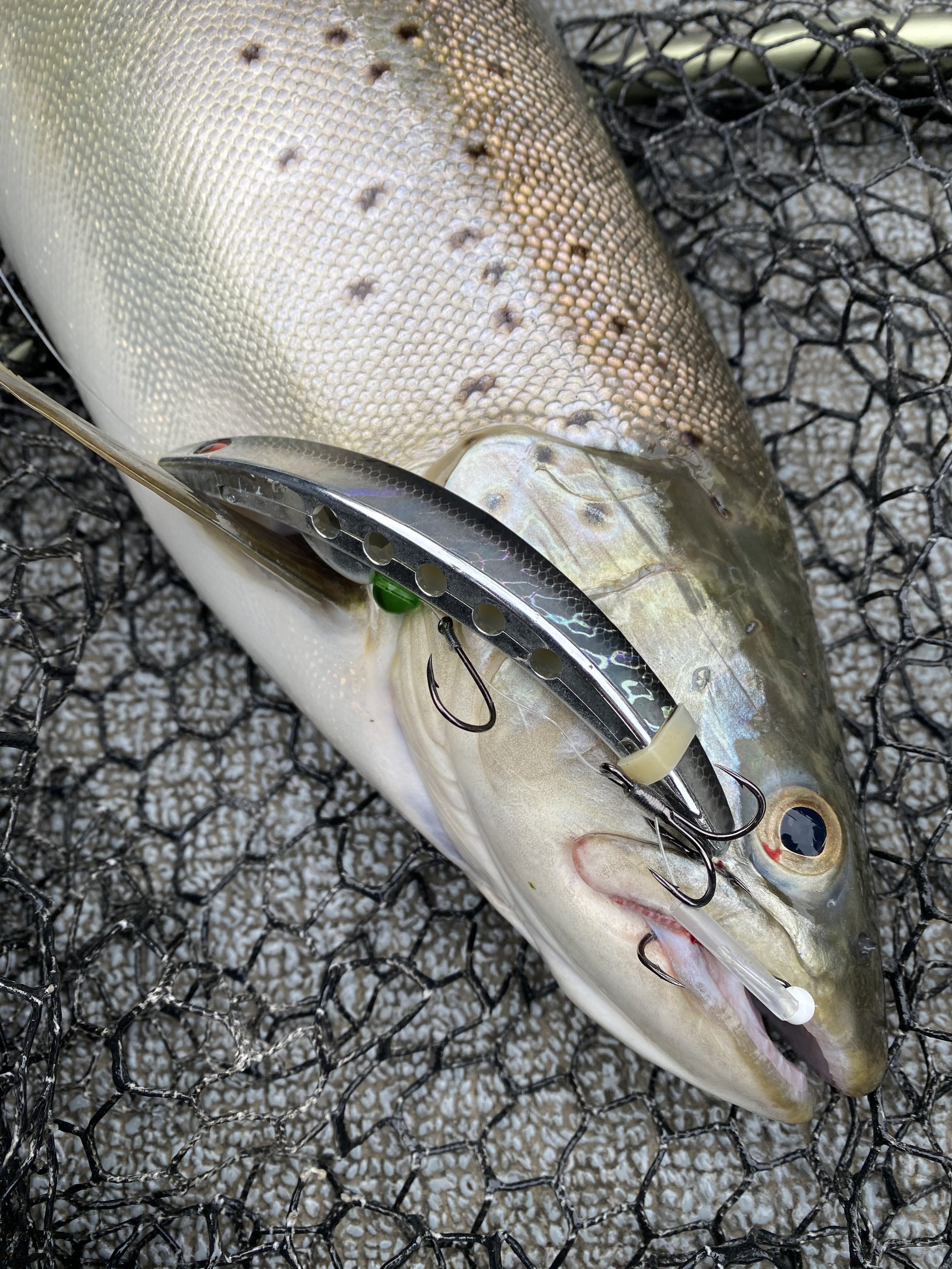 Love the colours on these combos! Fellow salmon and steelhead anglers, what  rods and reels are you running? : r/Fishing_Gear