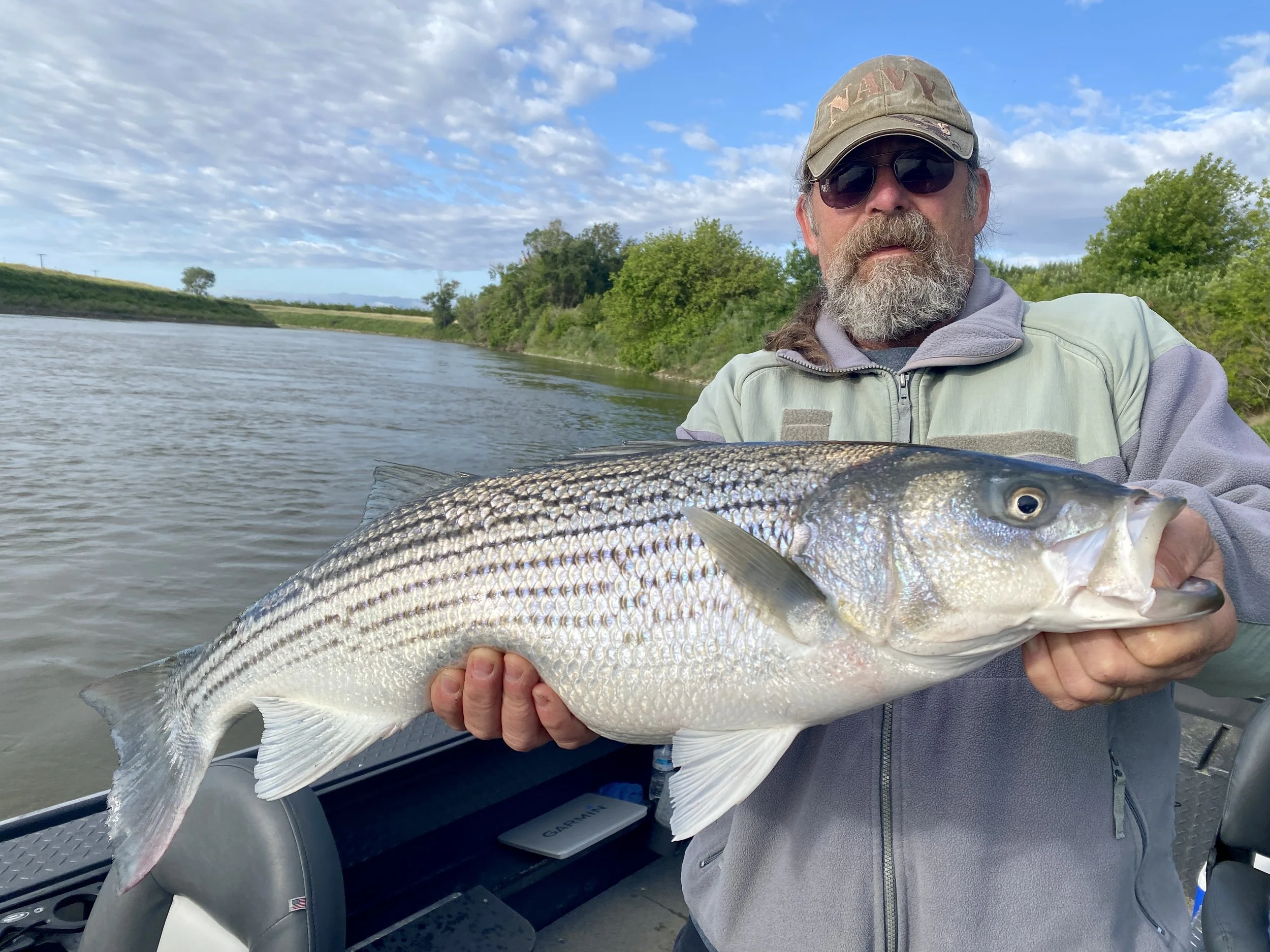 2023 Sacramento River Striped Bass Fishing Report! — Jeff Goodwin Fishing