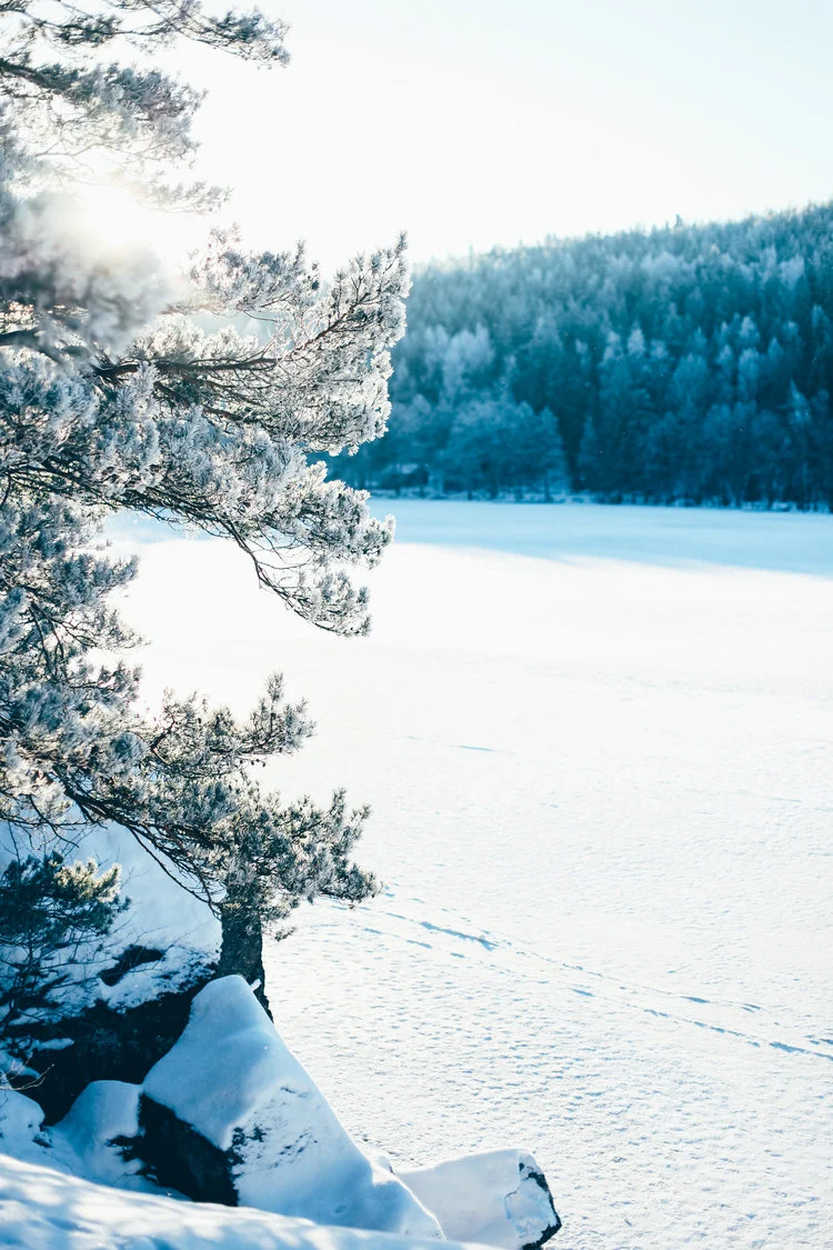vinter.jpg