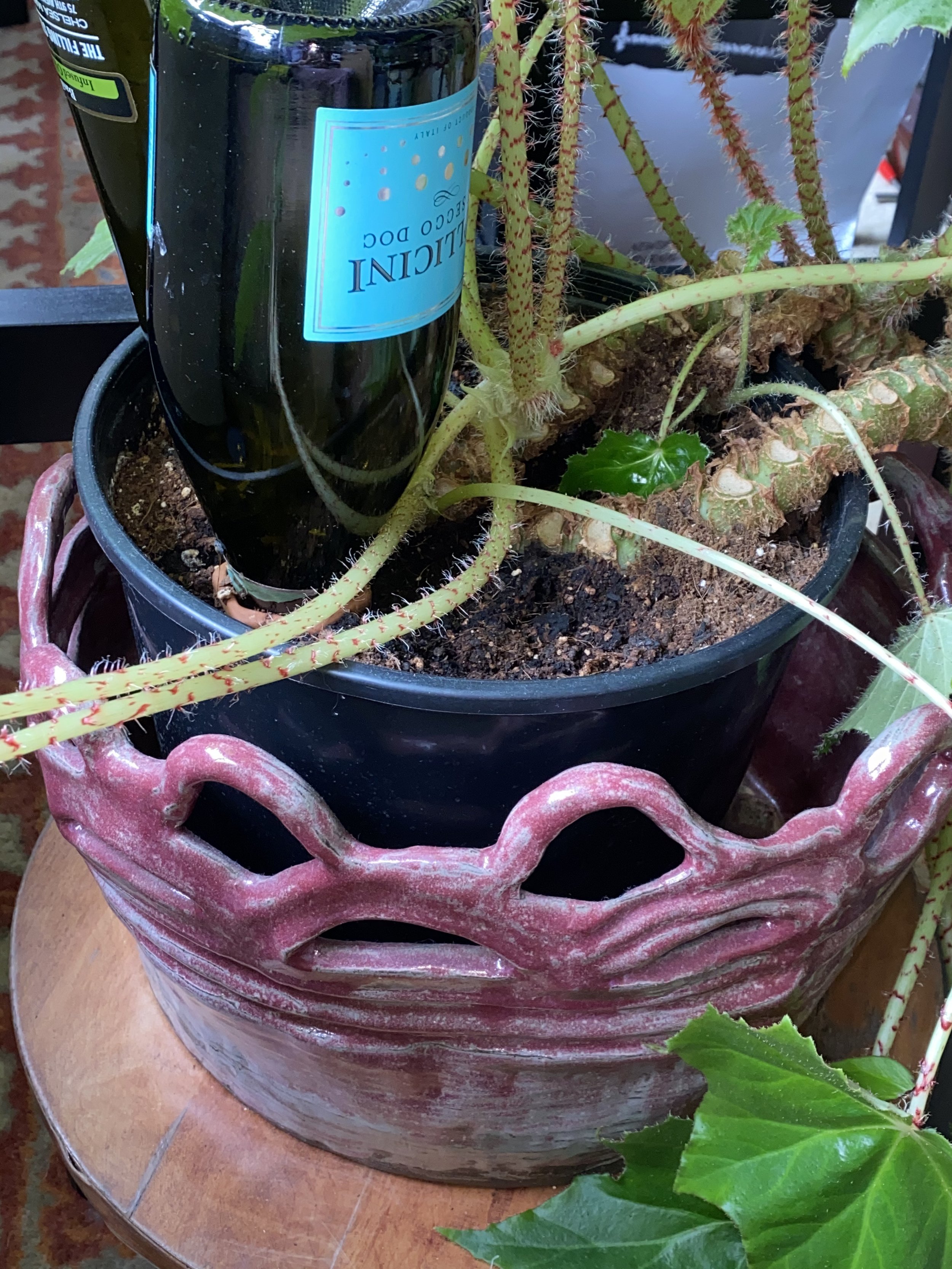 Large Planter Containers