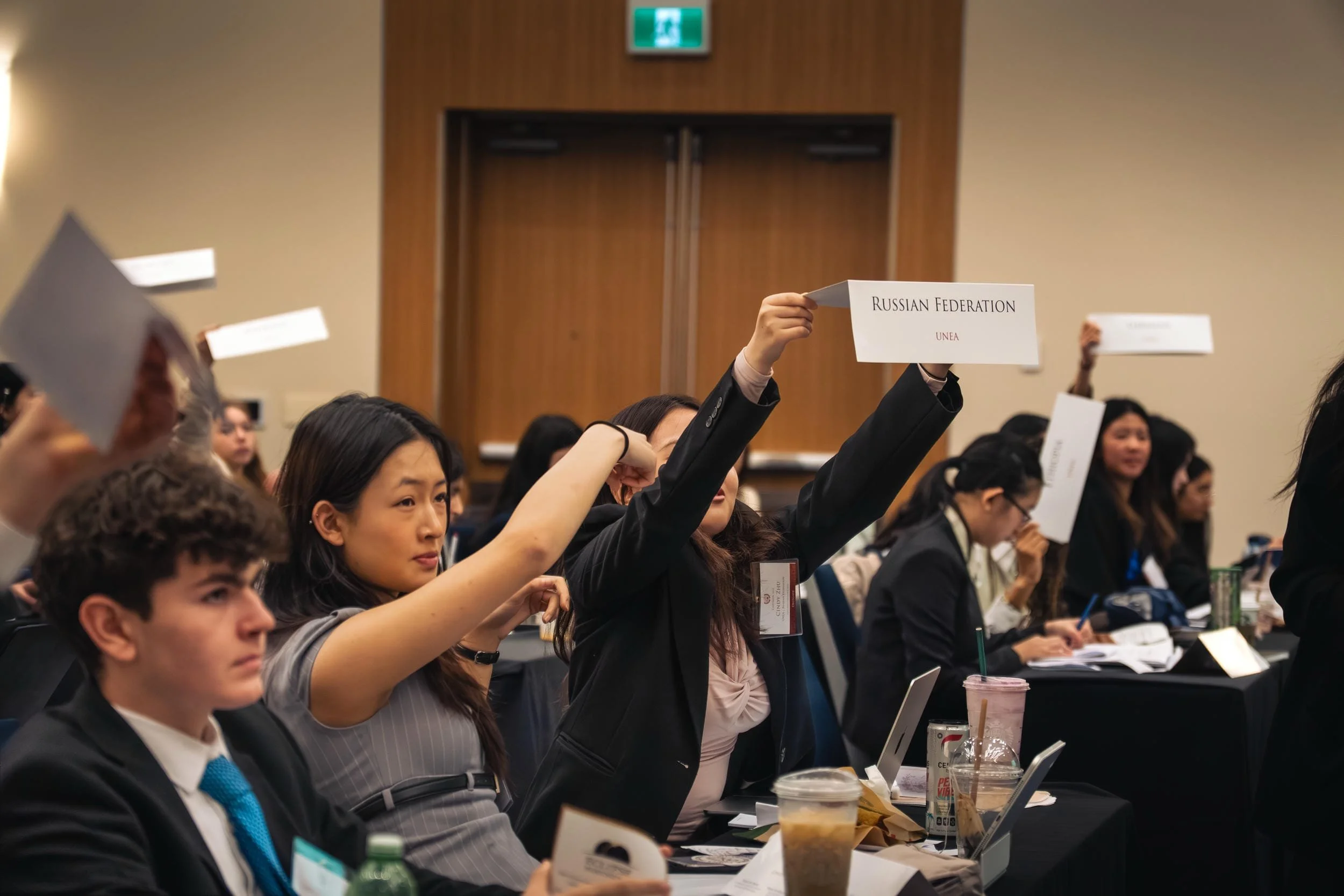 United Nations Environmental Assembly (UNEA)